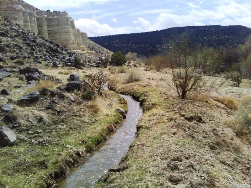 Asequia in Northern New Mexico