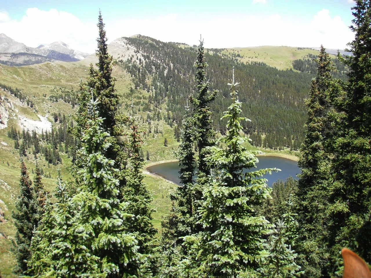 Pecos Baldy Lake | Photo Courtesy of Mike Archuleta