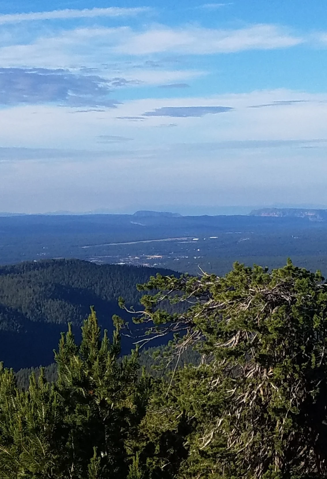 San Francisco Peaks on the Weatherford Trail | July 2018