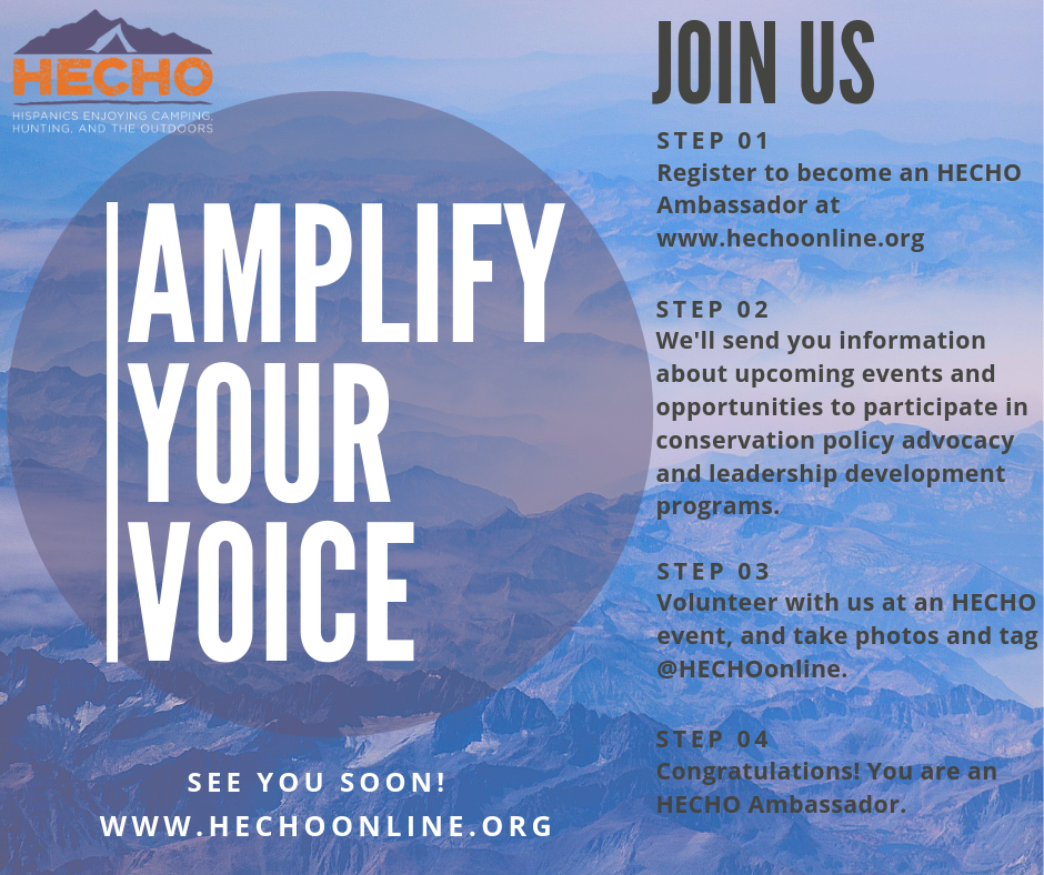 AMPLIFY Your Voice FB Ambassador.png