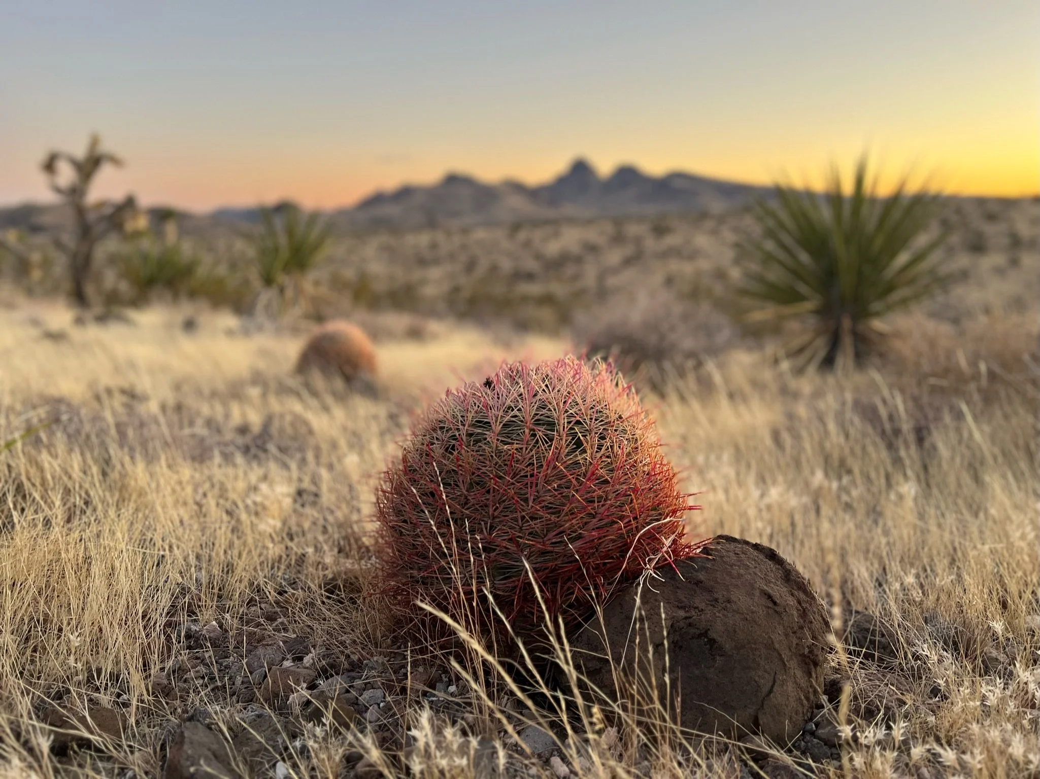 Comunicado: La conservación del agua, las tierras públicas y la vida silvestre, son prioridades para los residentes del oeste de los Estados Unidos