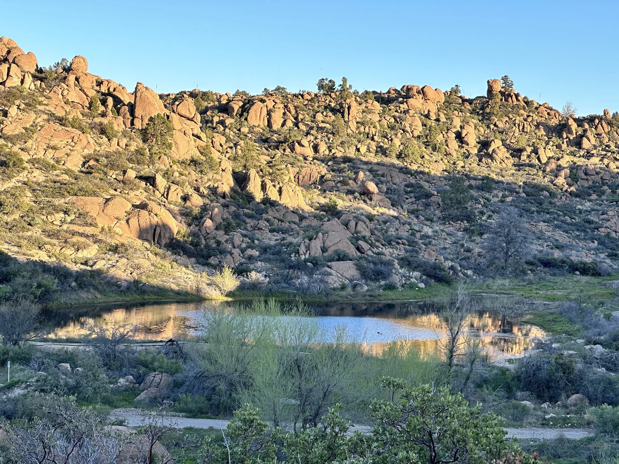 Oak Flat Is at Risk of Being Handed over to a Foreign Mining Company