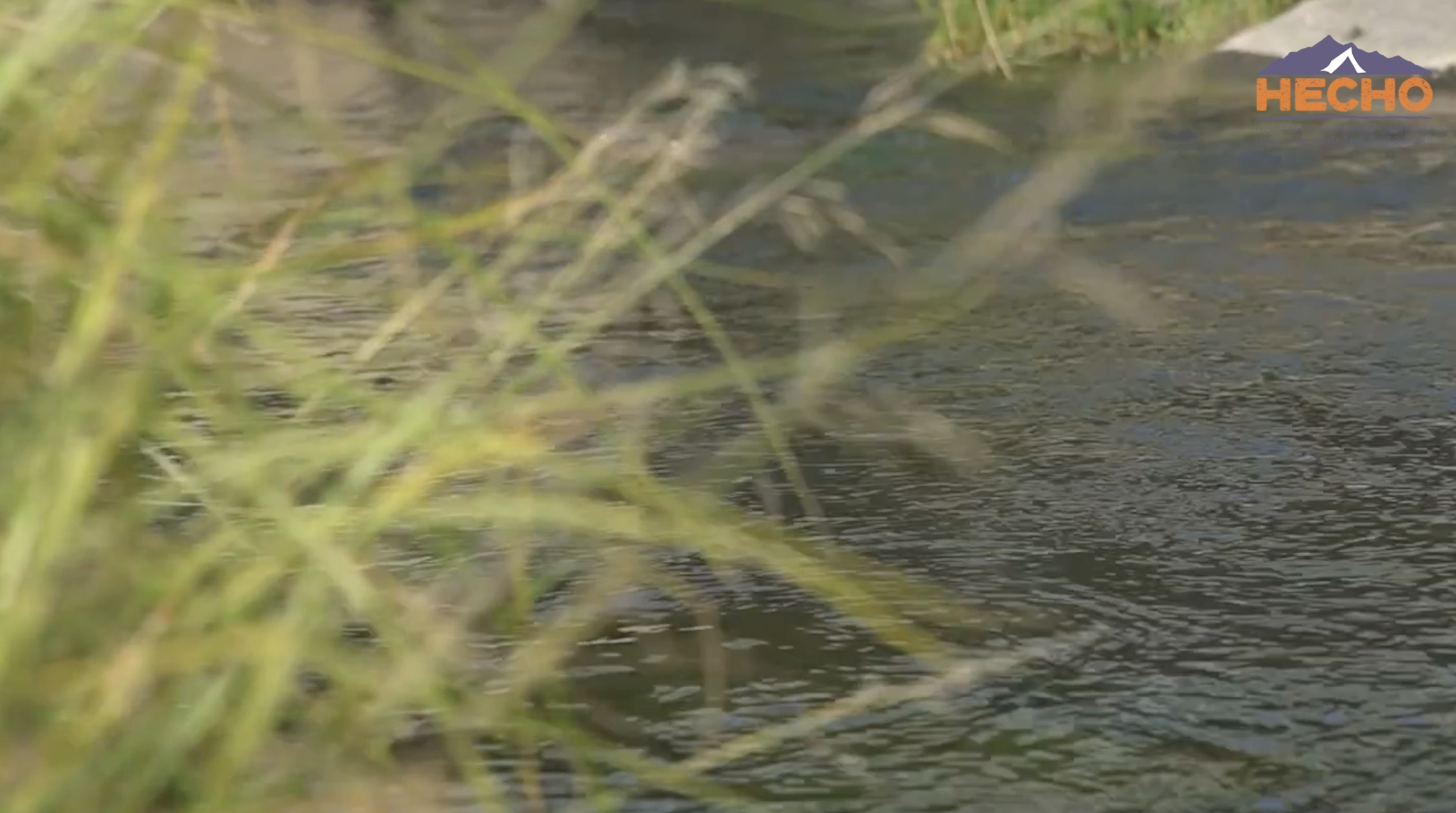 Acequias: Community Water Management and Shared Stewardship