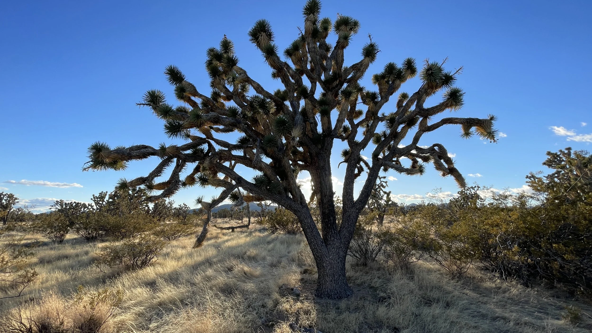 Avi Kwa Ame: 3 Years Later, The Responsibility Remains