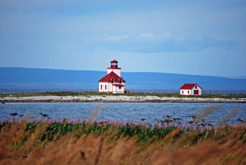 DSC_0156_edited-1.jpg