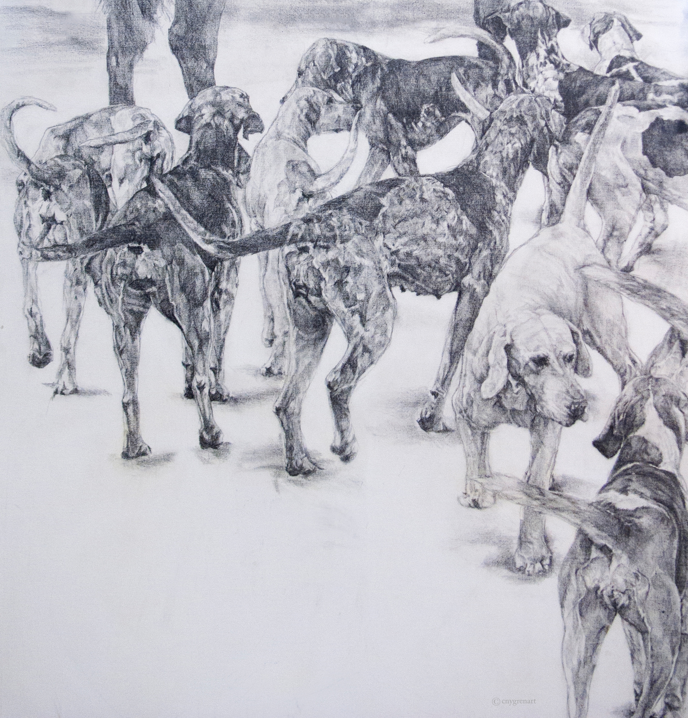  "Hounds at the Hunt - Study"  Pencil on Canvas &nbsp;  48 x48  NA 