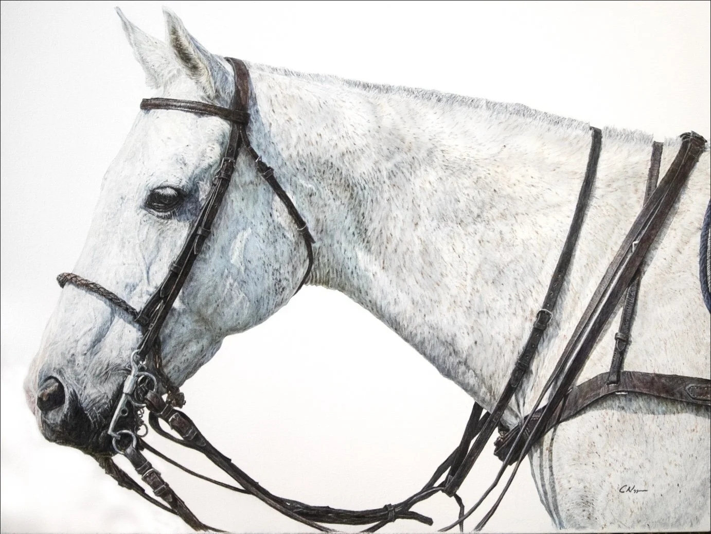  “Paloma”  Oil  30 × 40   Private Collection  