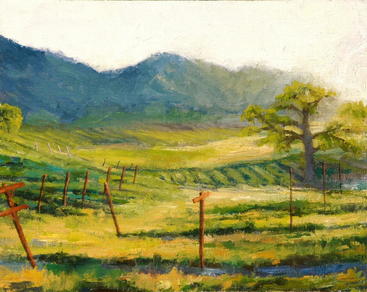Vineyard Glow