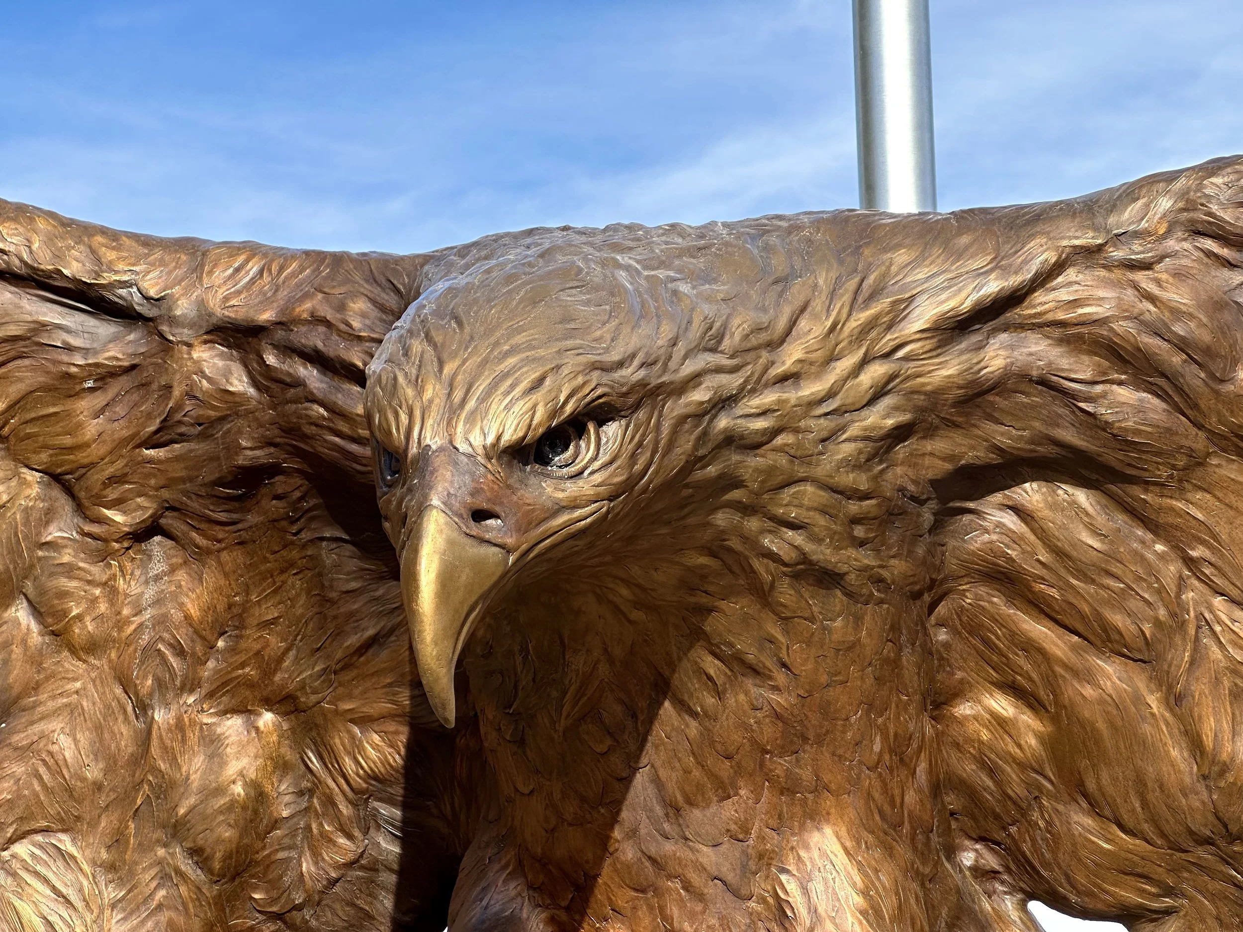 final eagle 6.jpeg