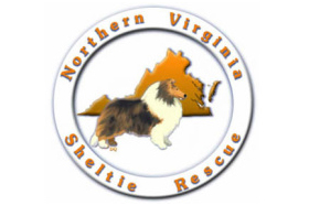 northern virginia sheltie rescue.jpg
