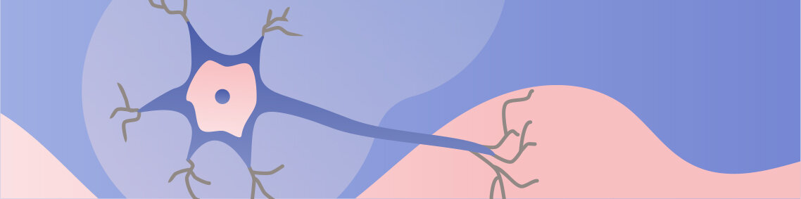 Banner_03.jpg