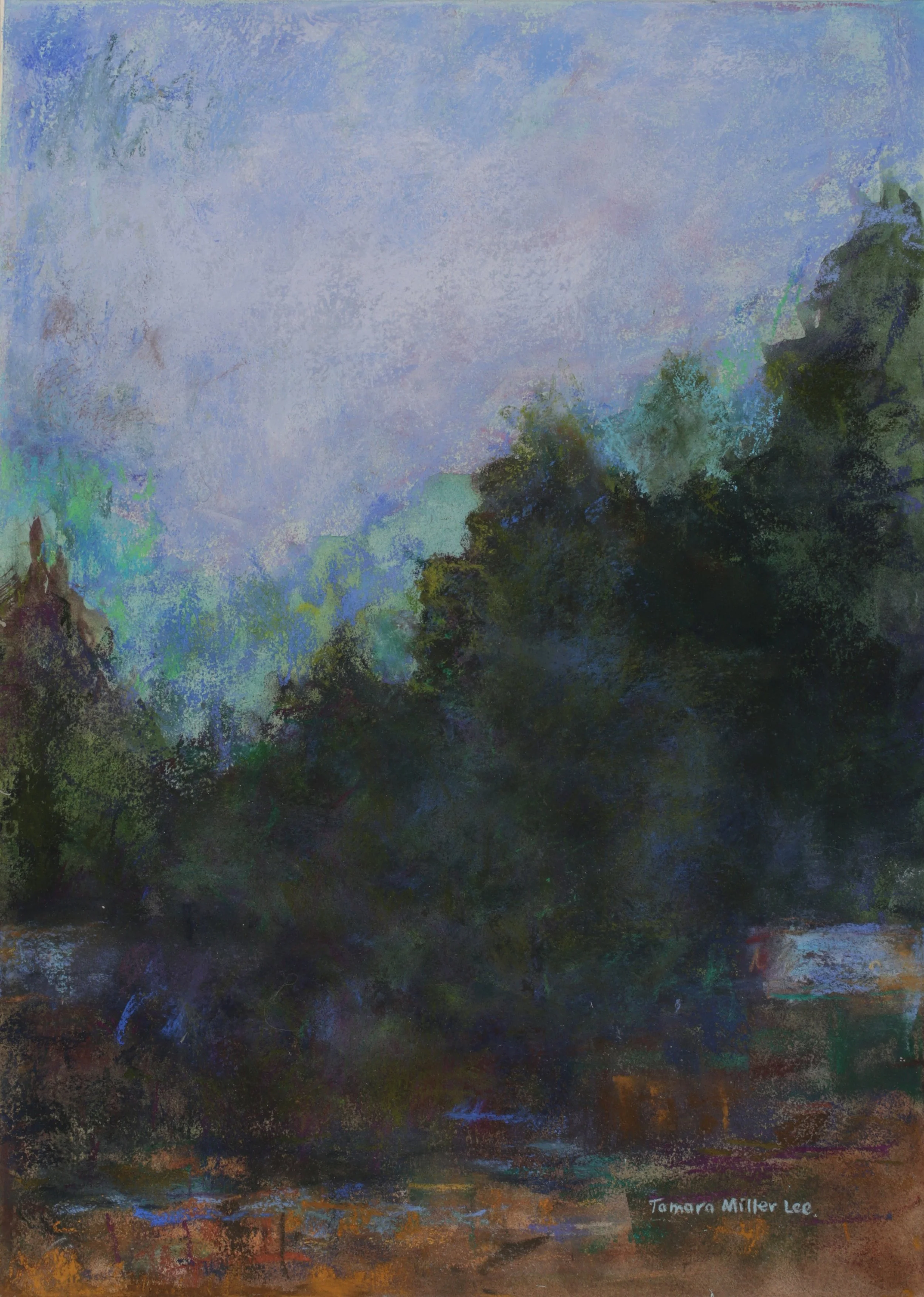 24-0216, 2025, Pastel on paper, 18 3/4" x 13 1/4"