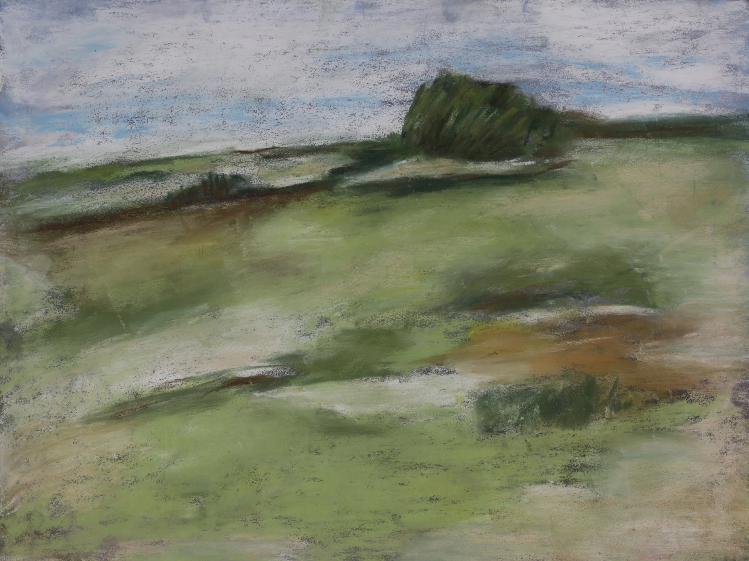 24-0218, 2025, Pastel on paper, 12" x 16"