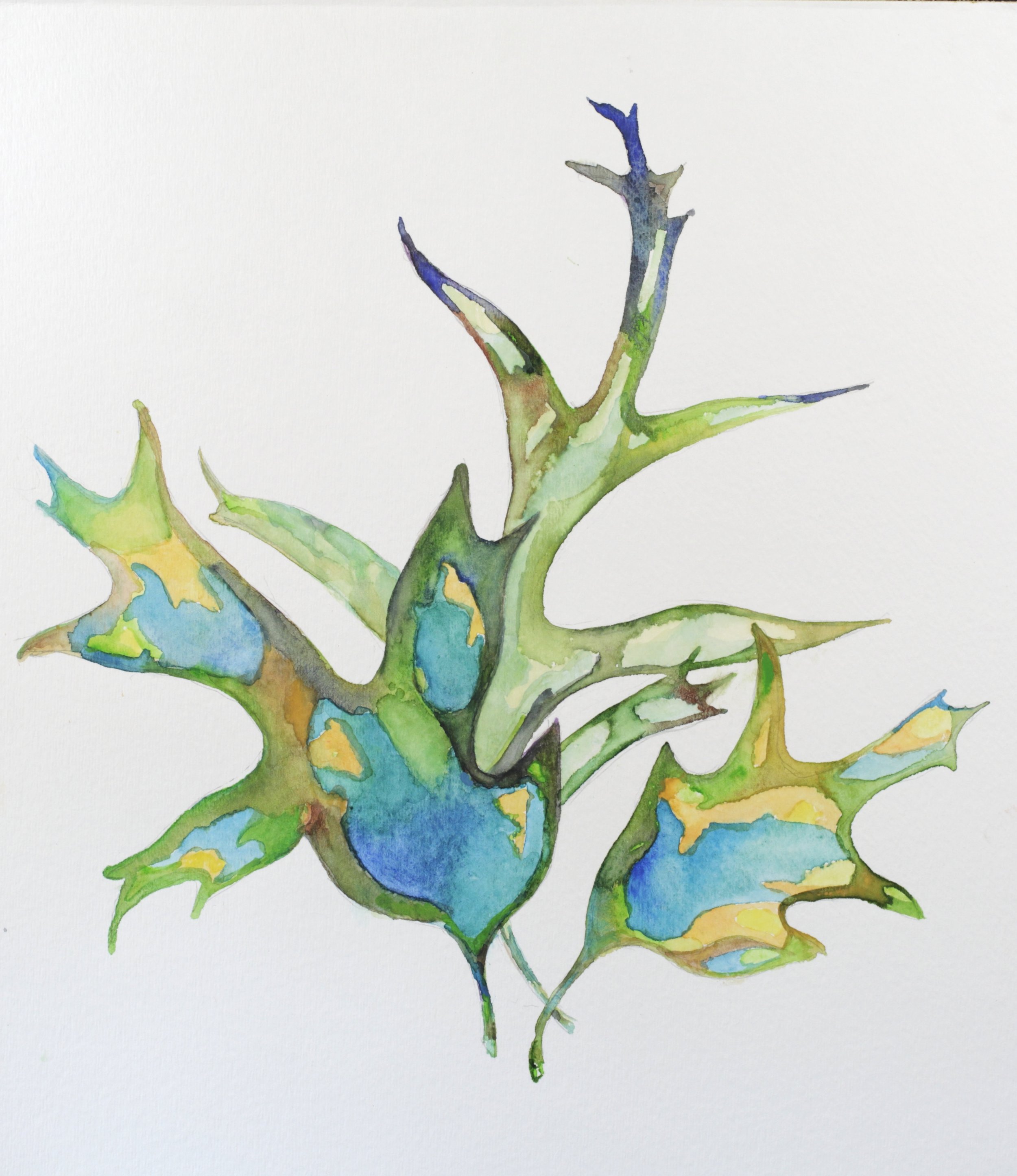 25-0336, 2017, Watercolor on paper, 15" X 11"