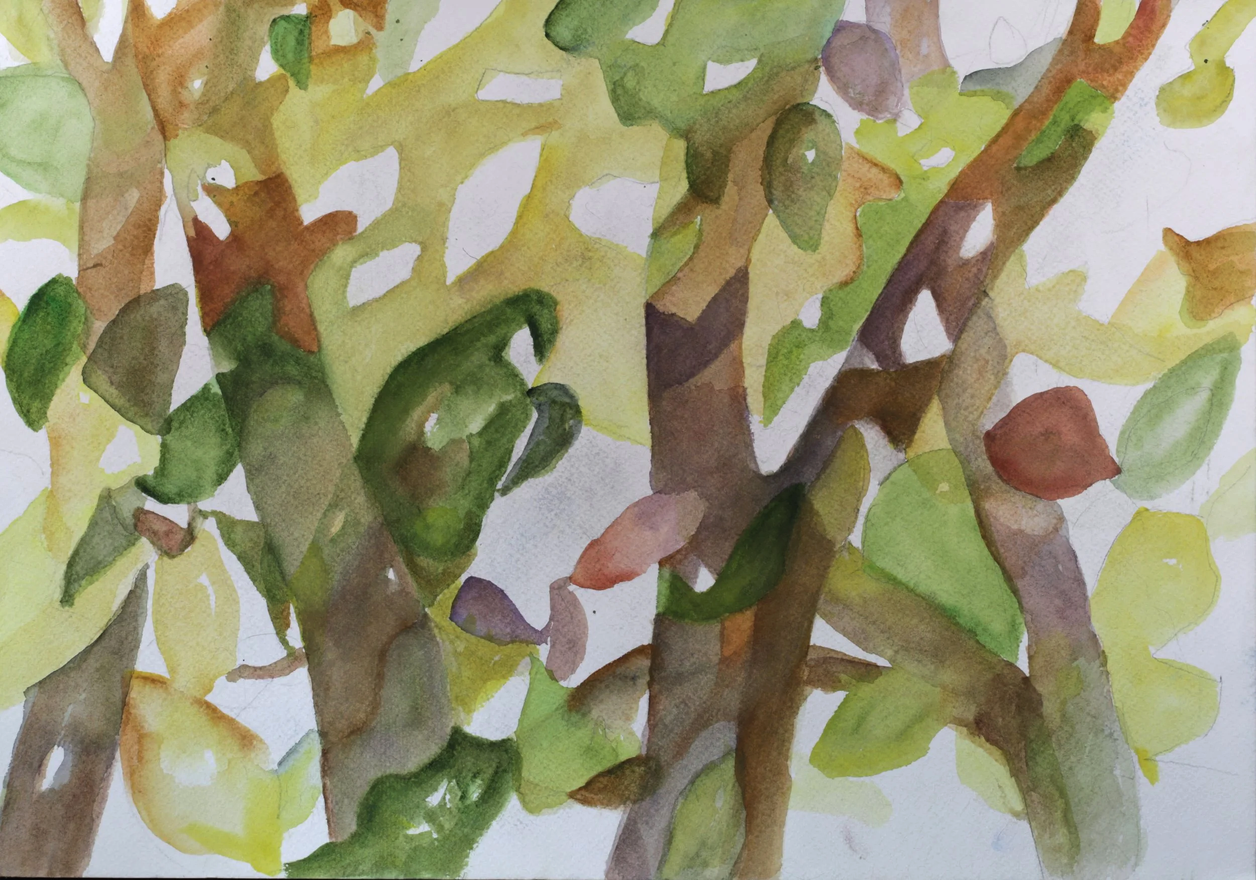 24-0322 2024, Watercolor on paper, 14" X 20"