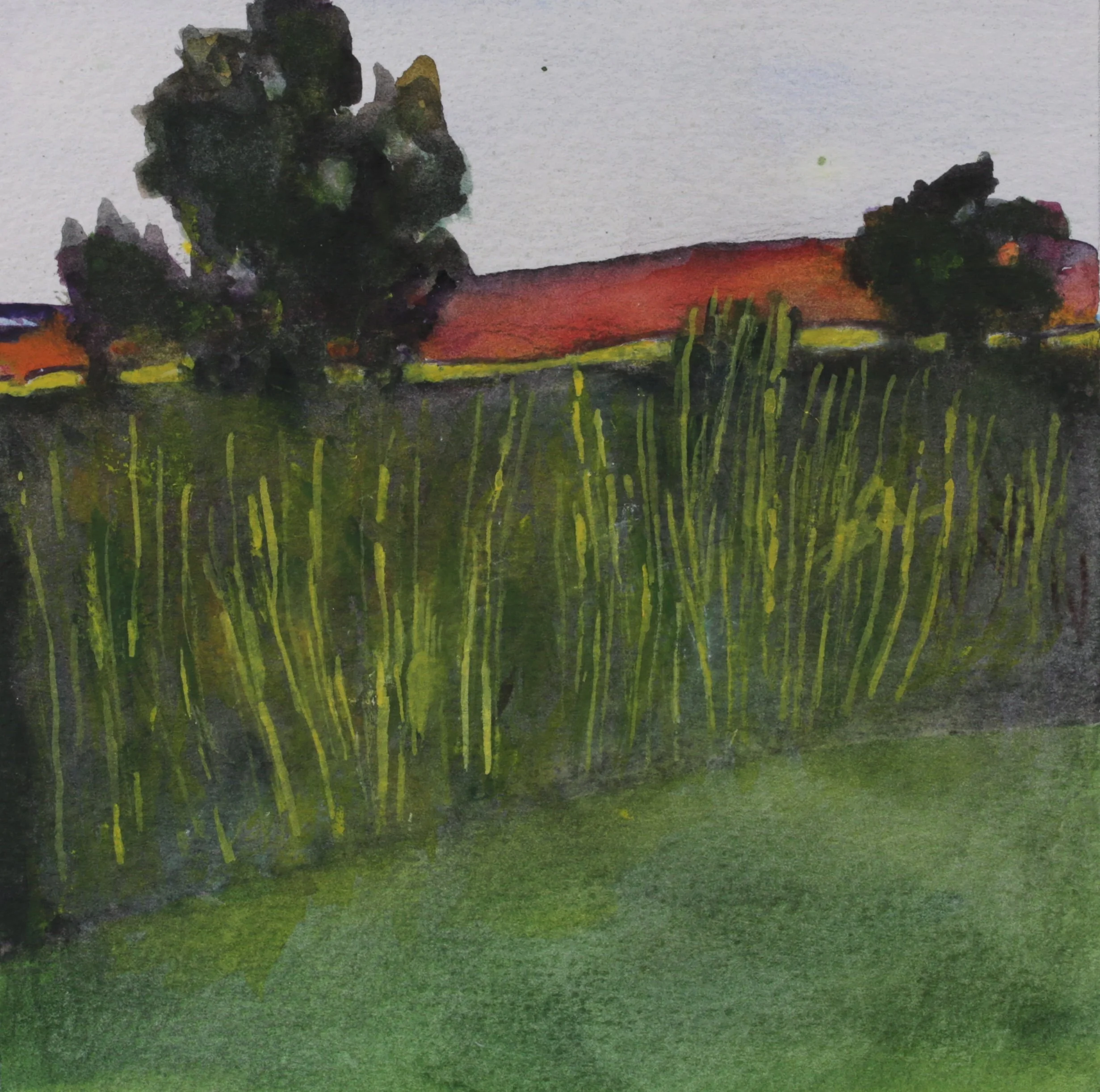 24-0333, 2025, Watercolor on paper, 7 3/8" X 10 1/2"