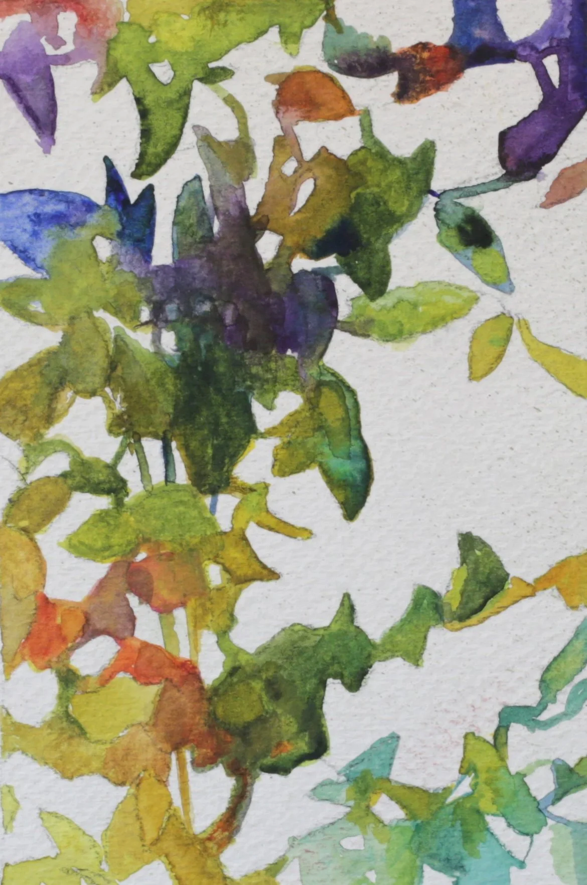 24-0338, 2023, Watercolor on paper, 3 1/2" X 5 1/2"