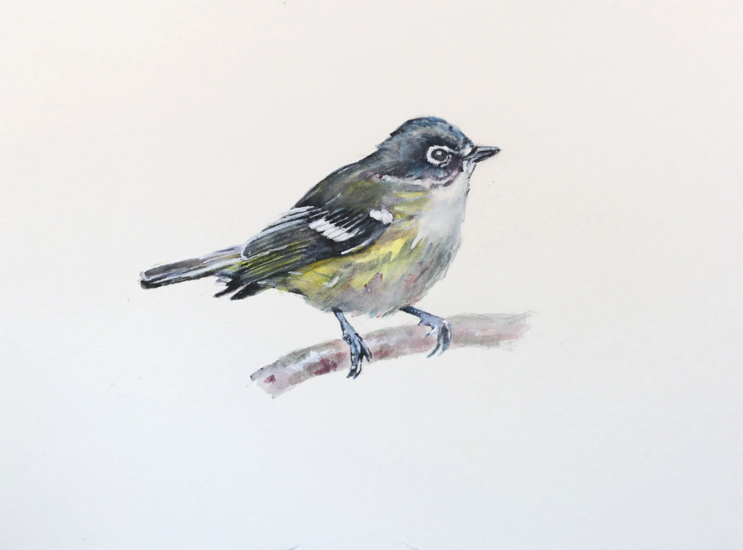 24-0347, 2024, Watercolor on paper, 9" X 12"