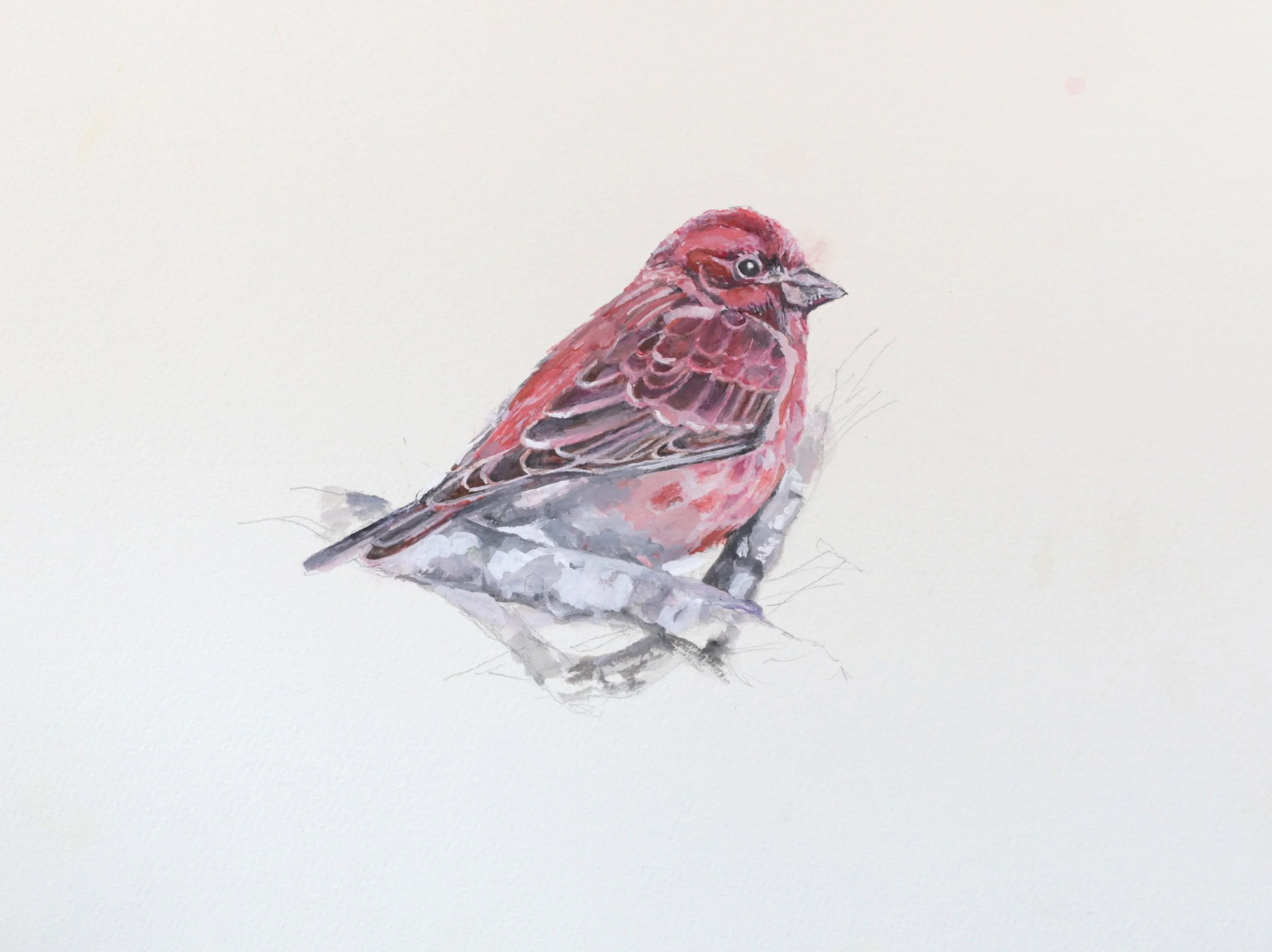 24-0352, 2024, Watercolor on paper, 9" X 12"