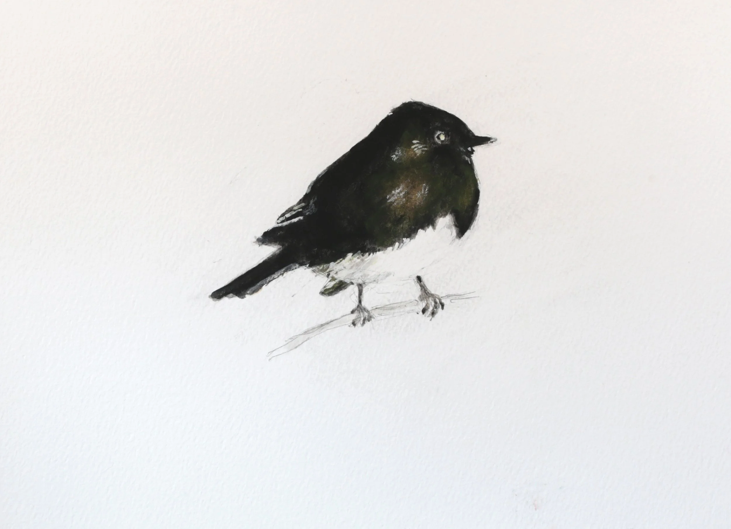 24-0356, 2024, Watercolor on paper, 9" X 12"