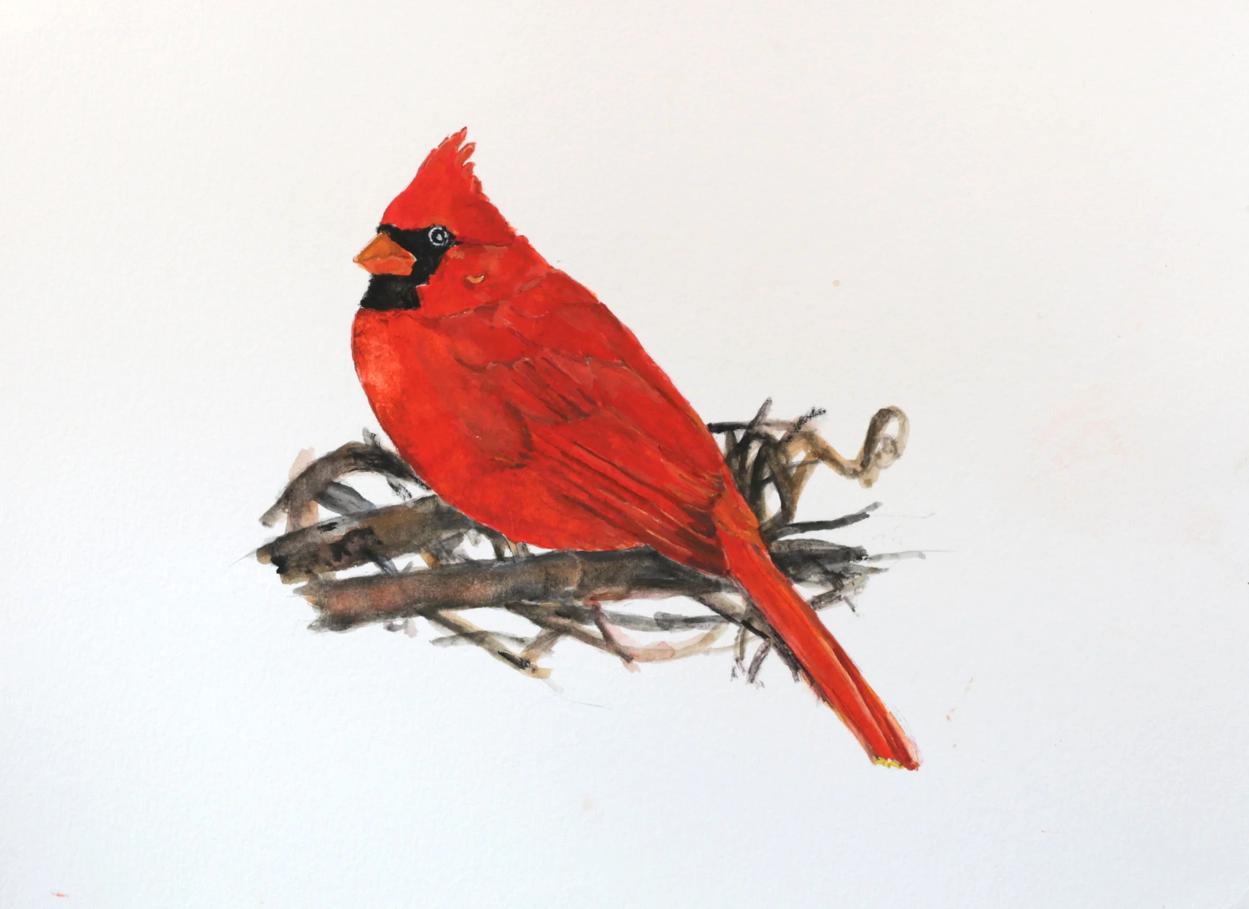 24-0357, 2024, Watercolor on paper, 9" X 12"