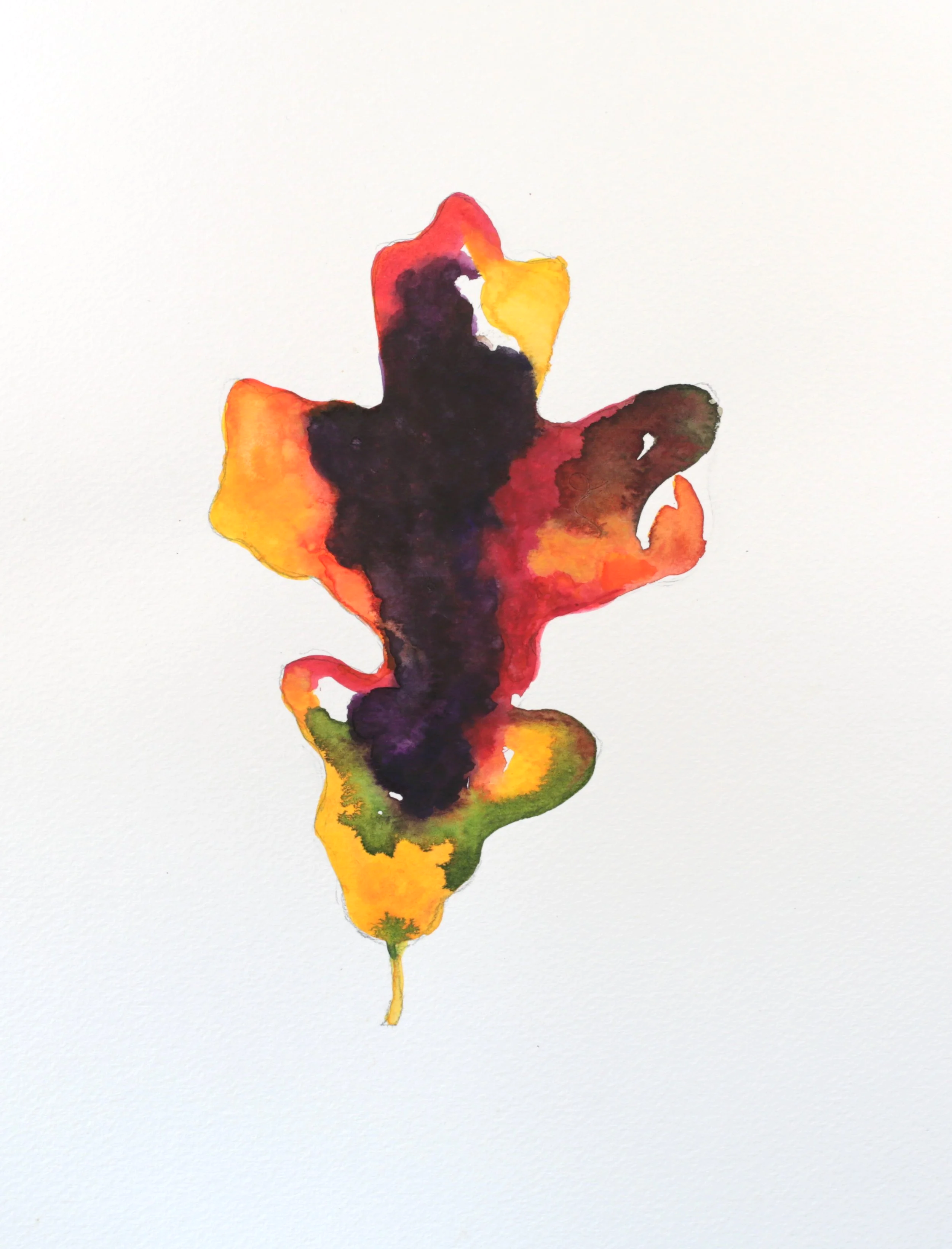 24-0364, 2018, Watercolor on paper, 14 1/4" X 10 1/4"