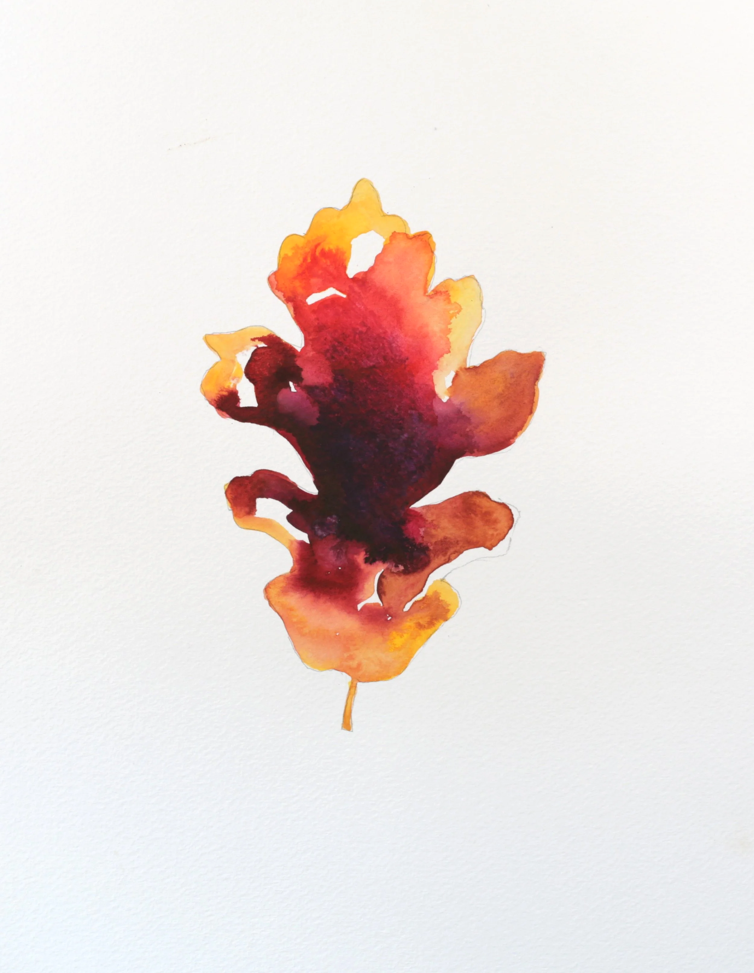 24-0366, 2018, Watercolor on paper, 14 1/4" X 10 1/4"