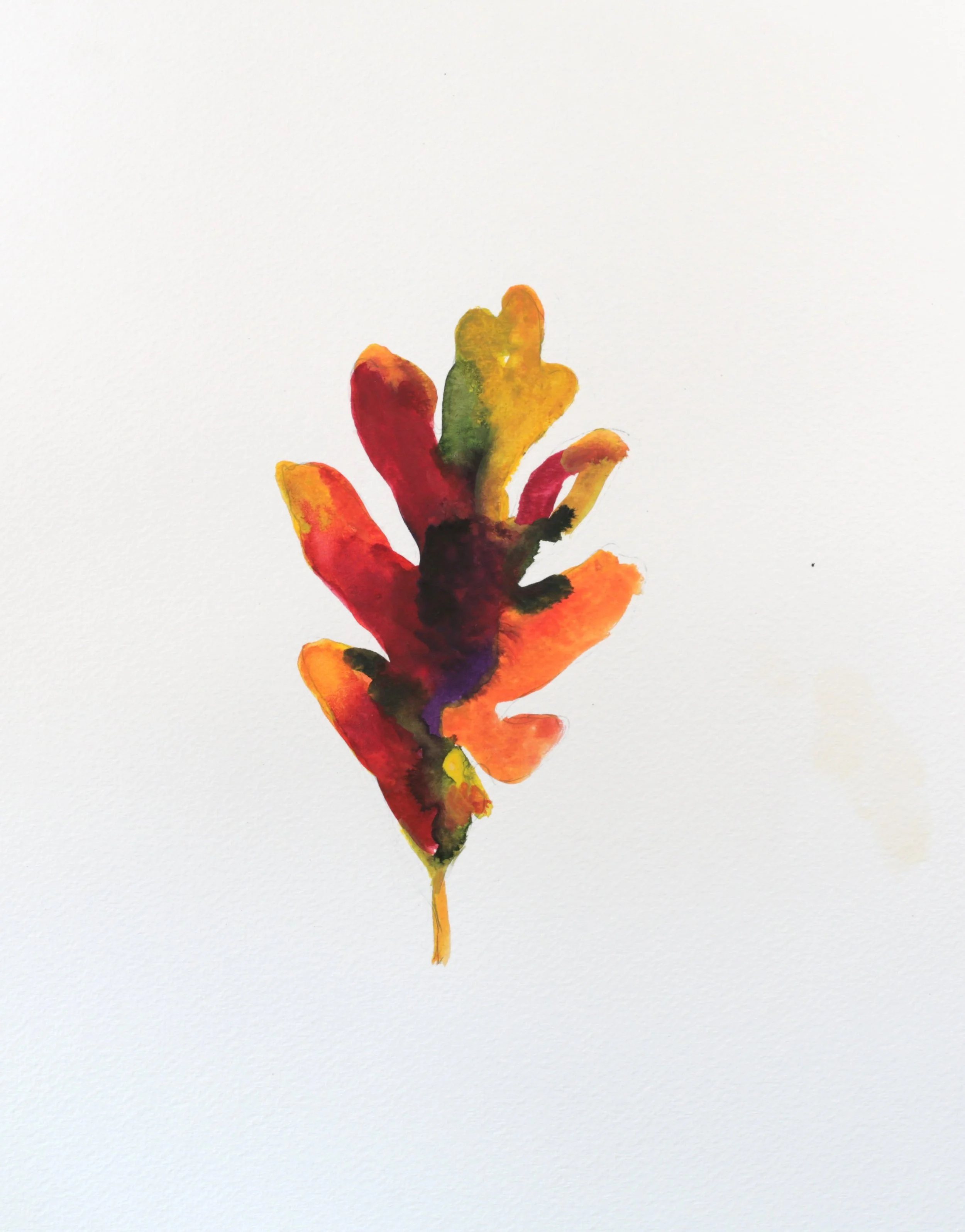 24-0367, 2018, Watercolor on paper, 14 1/4" X 10 1/4"