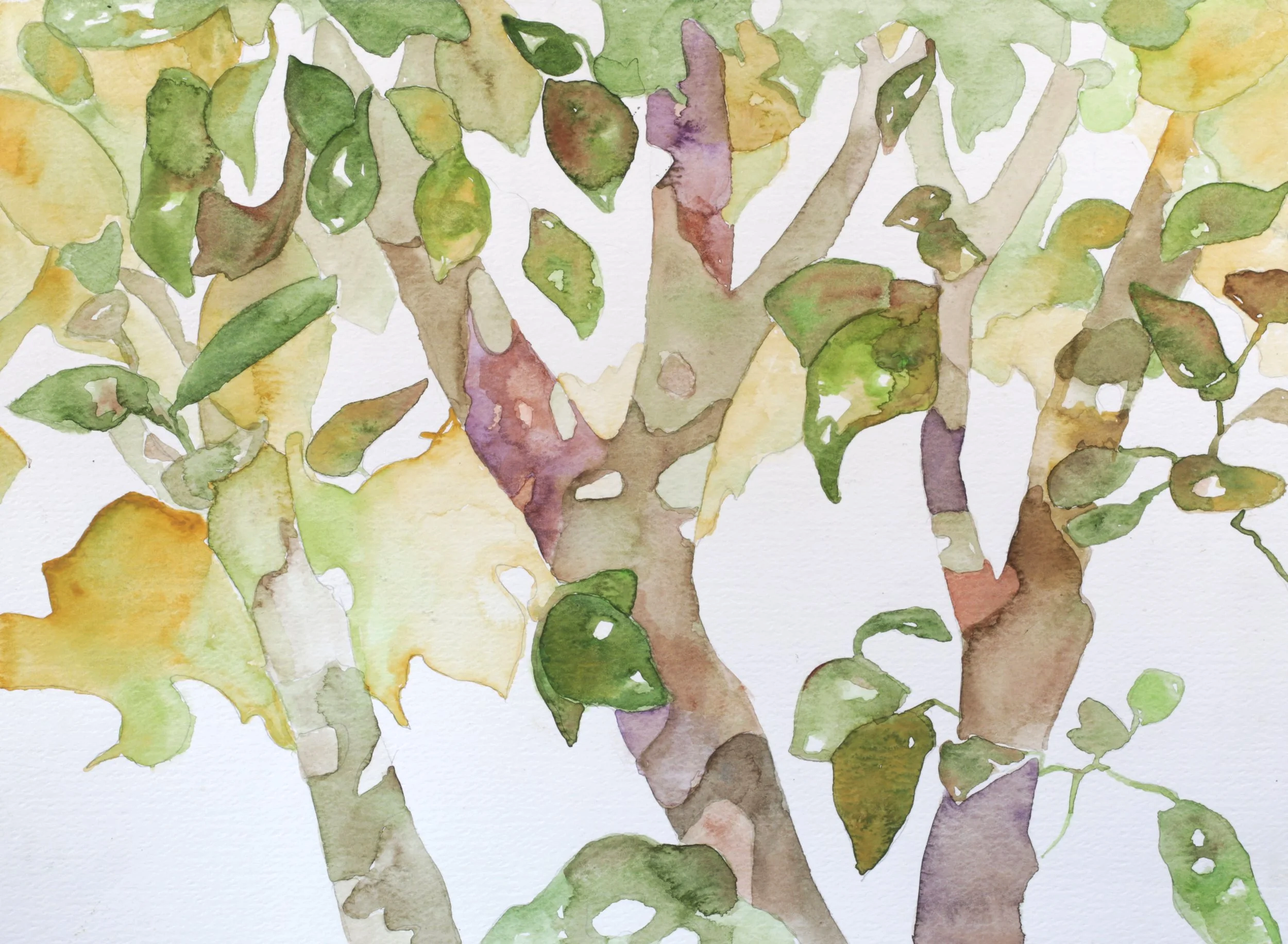 24-0393, 2018, Watercolor on paper, 15" X 11"