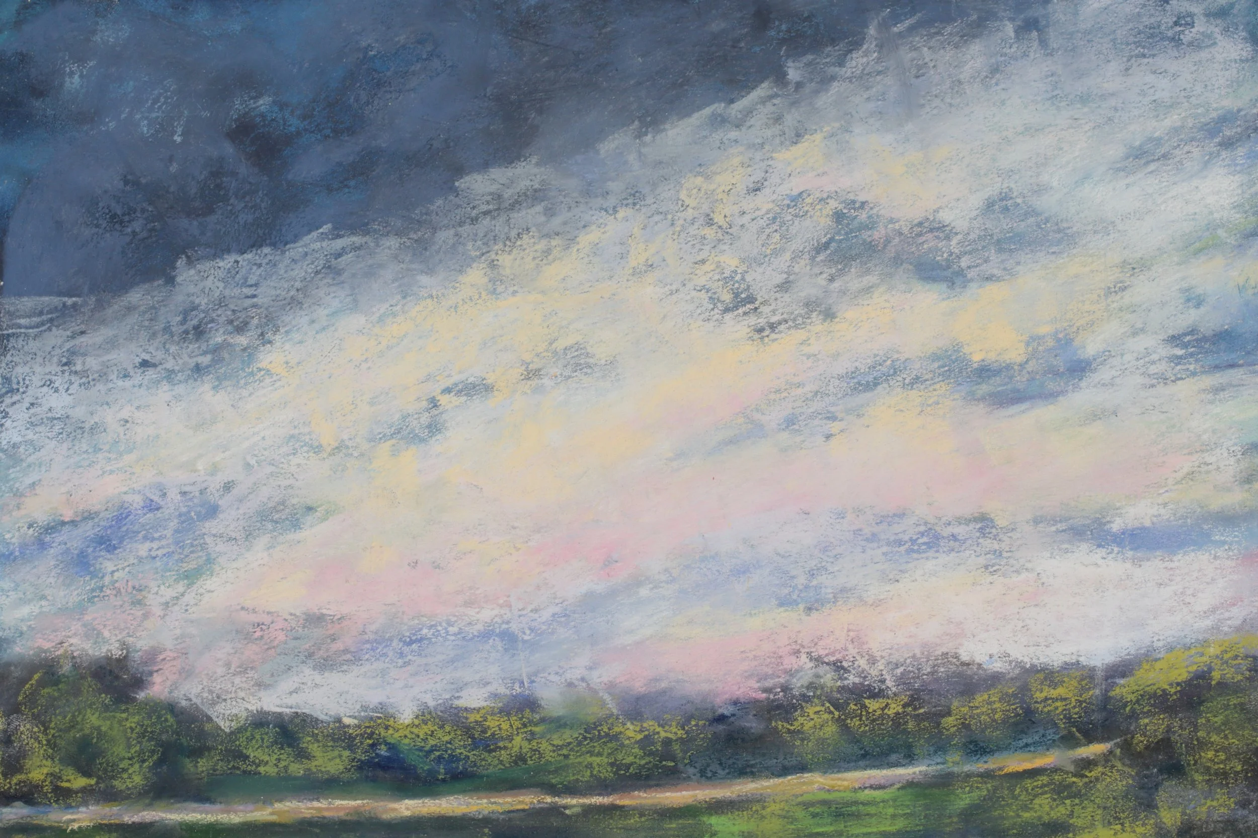 24-0261, 2025, Pastel on paper, 9 1/2" x 13 1/2"