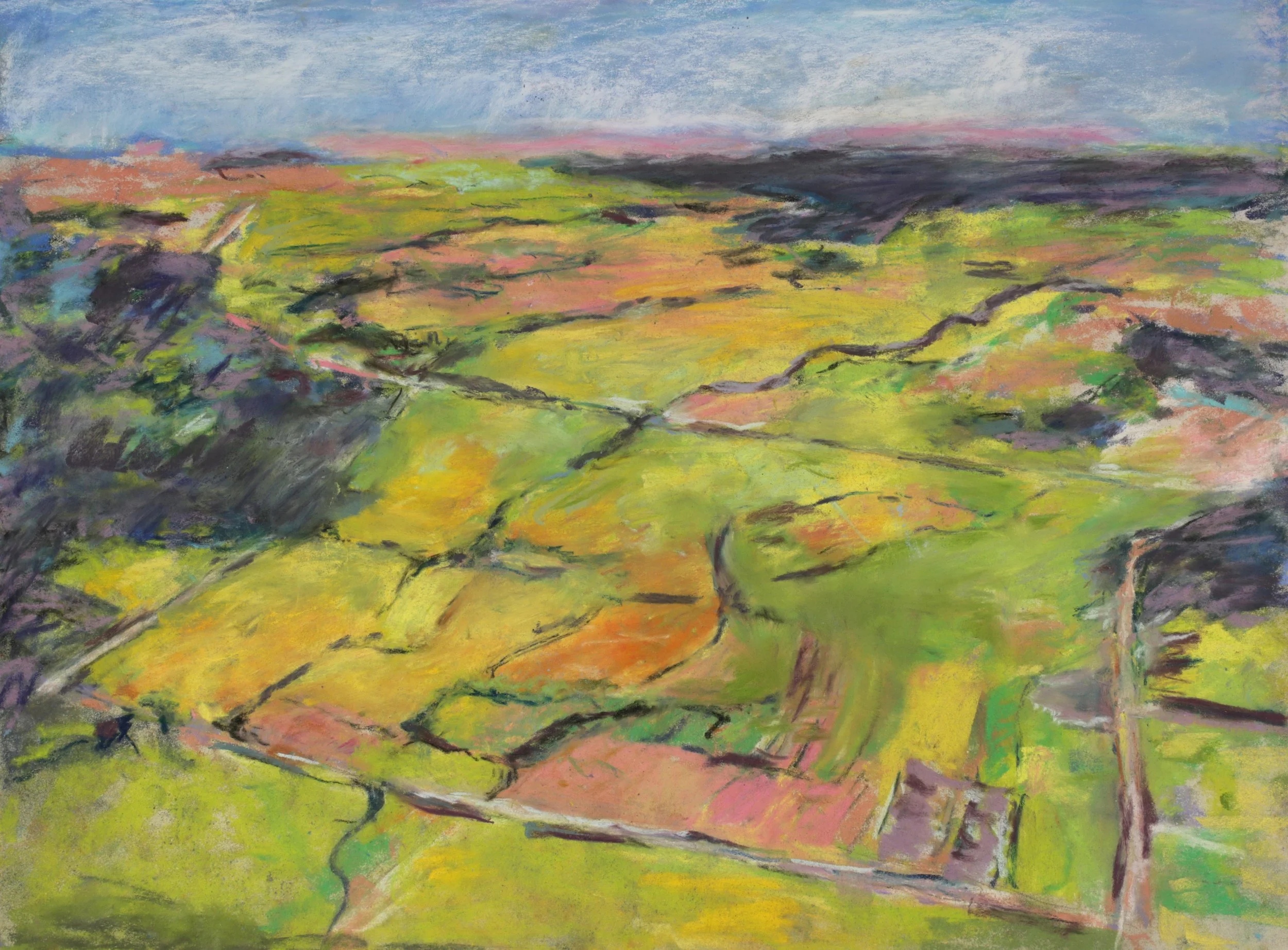 24-0219, 2025, Pastel on paper, 12" x 16"