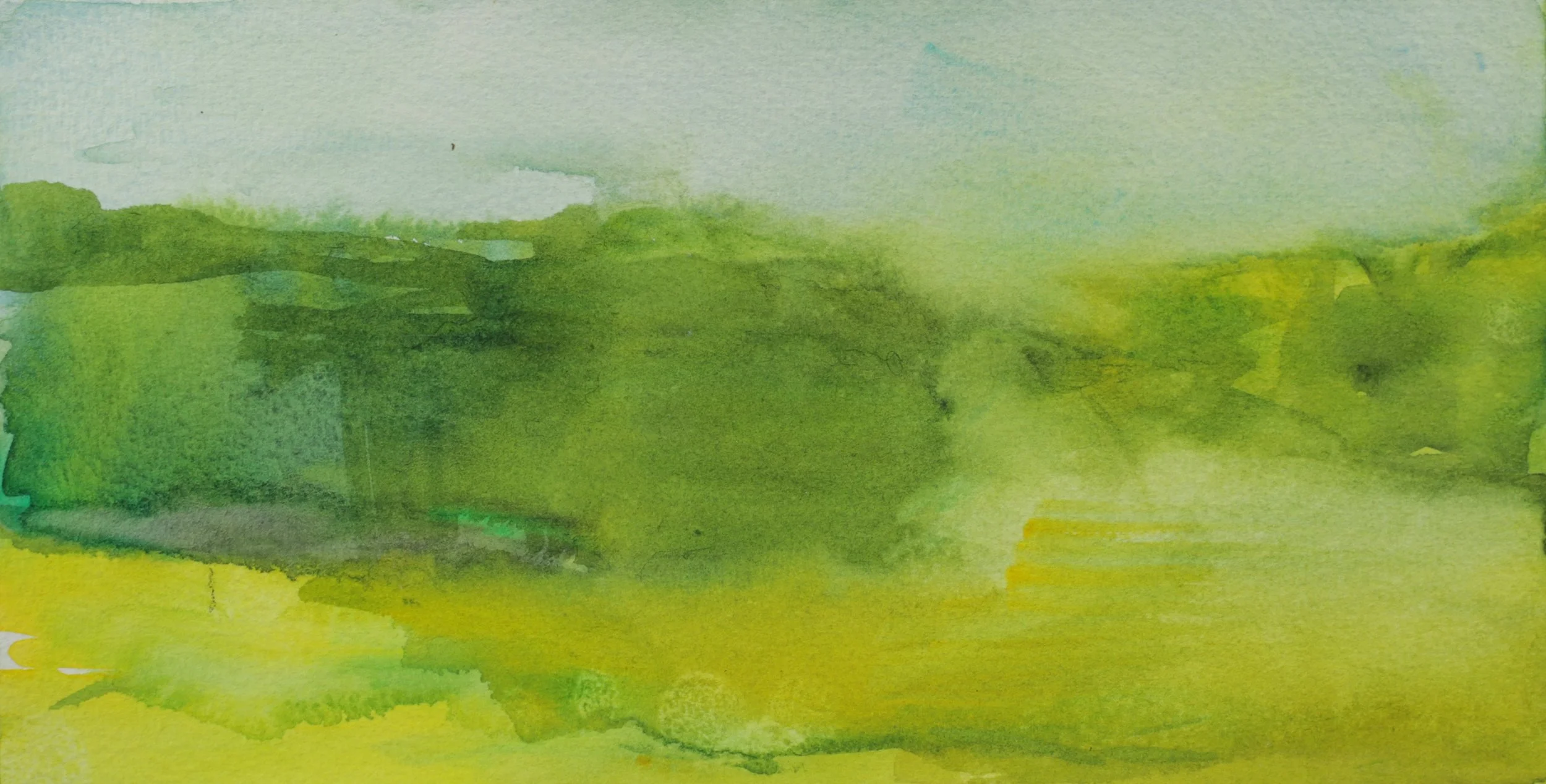 25-0381, 2024, Watercolor on paper, 4 3/4" X 9"