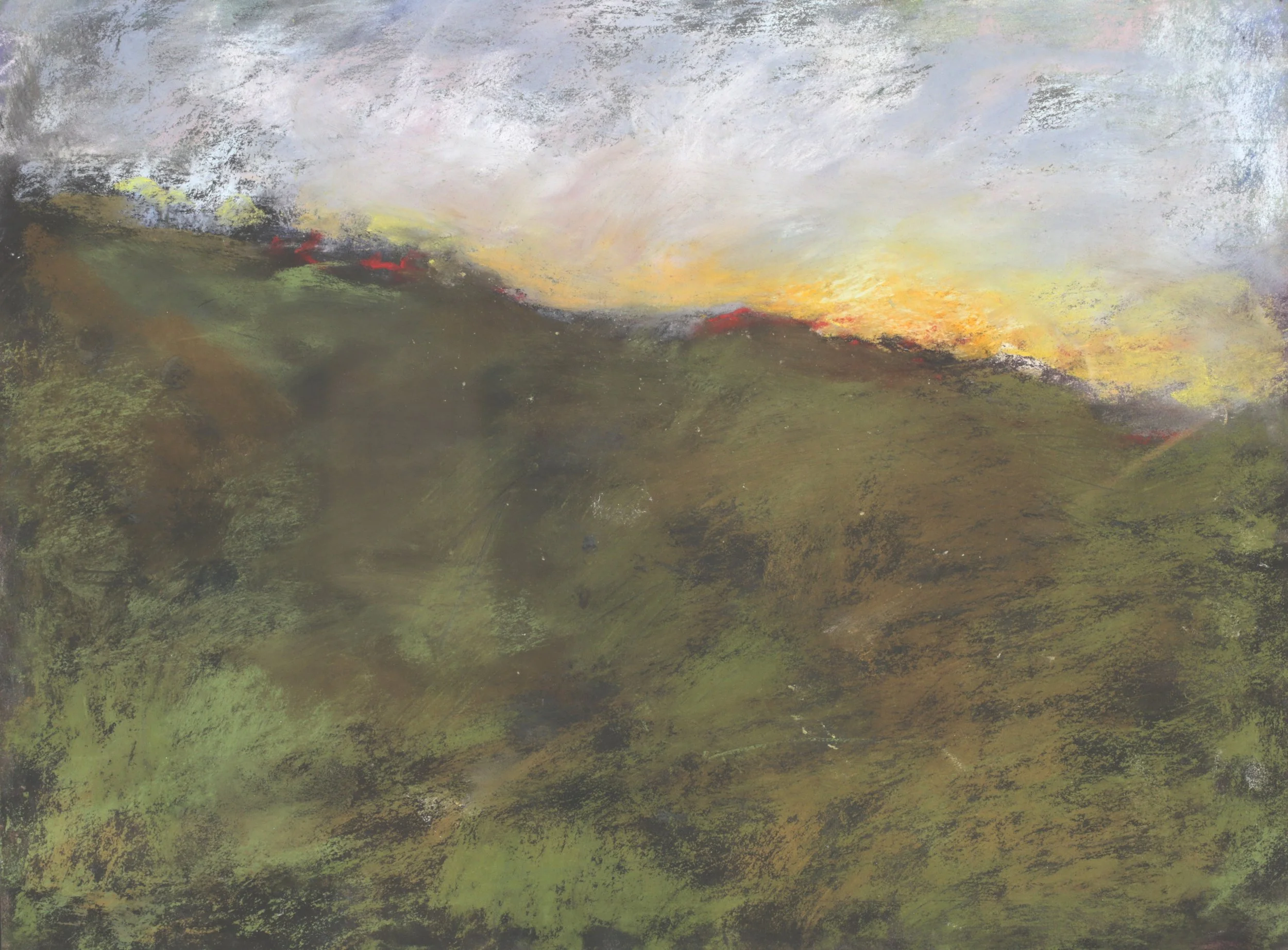 24-0252, 2024, Pastel on paper, 11 3/4" x 15 3/4"