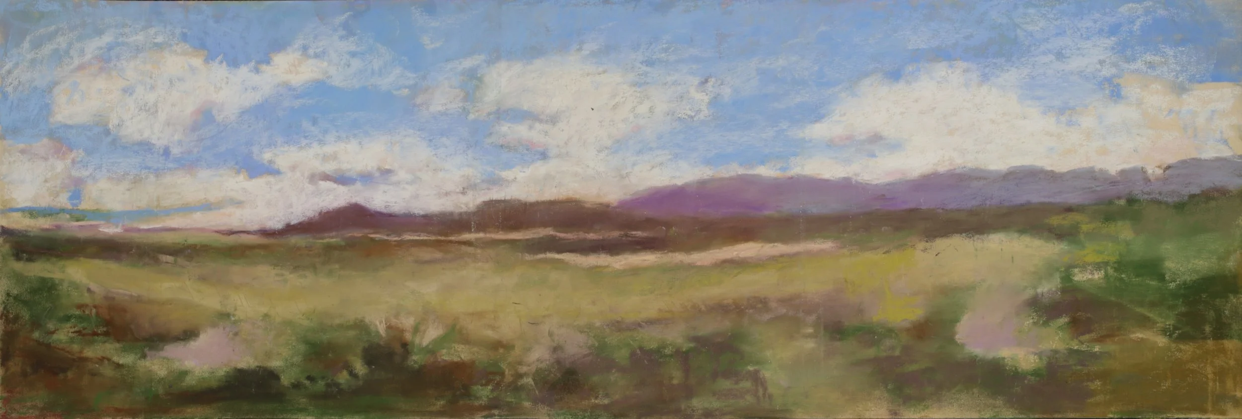 24-0260, 2026, Pastel on paper, 9" x 27"