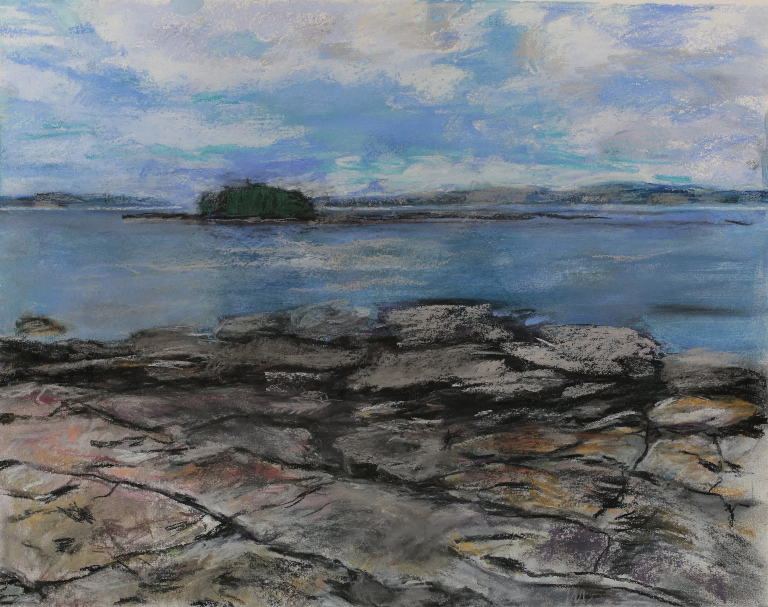 24-0217, 2025, Pastel on paper, 14" x 18"