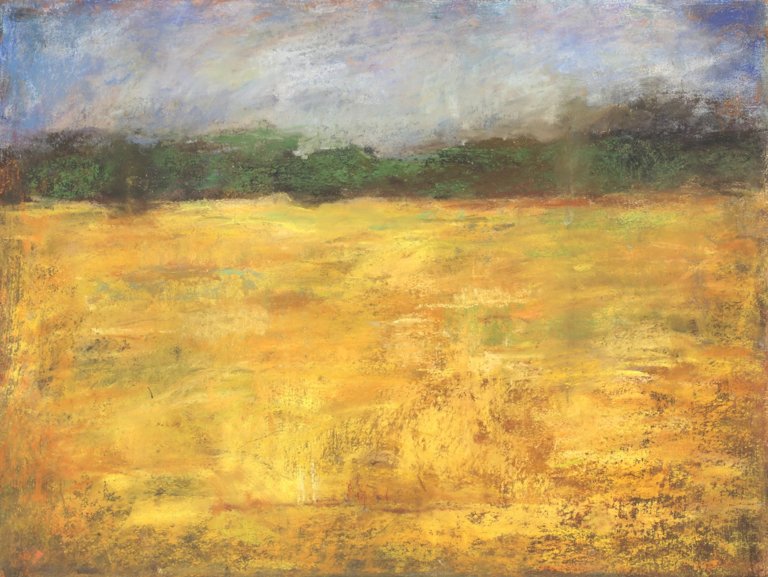 24-0251, 2024, Pastel on paper, 12" x 16"