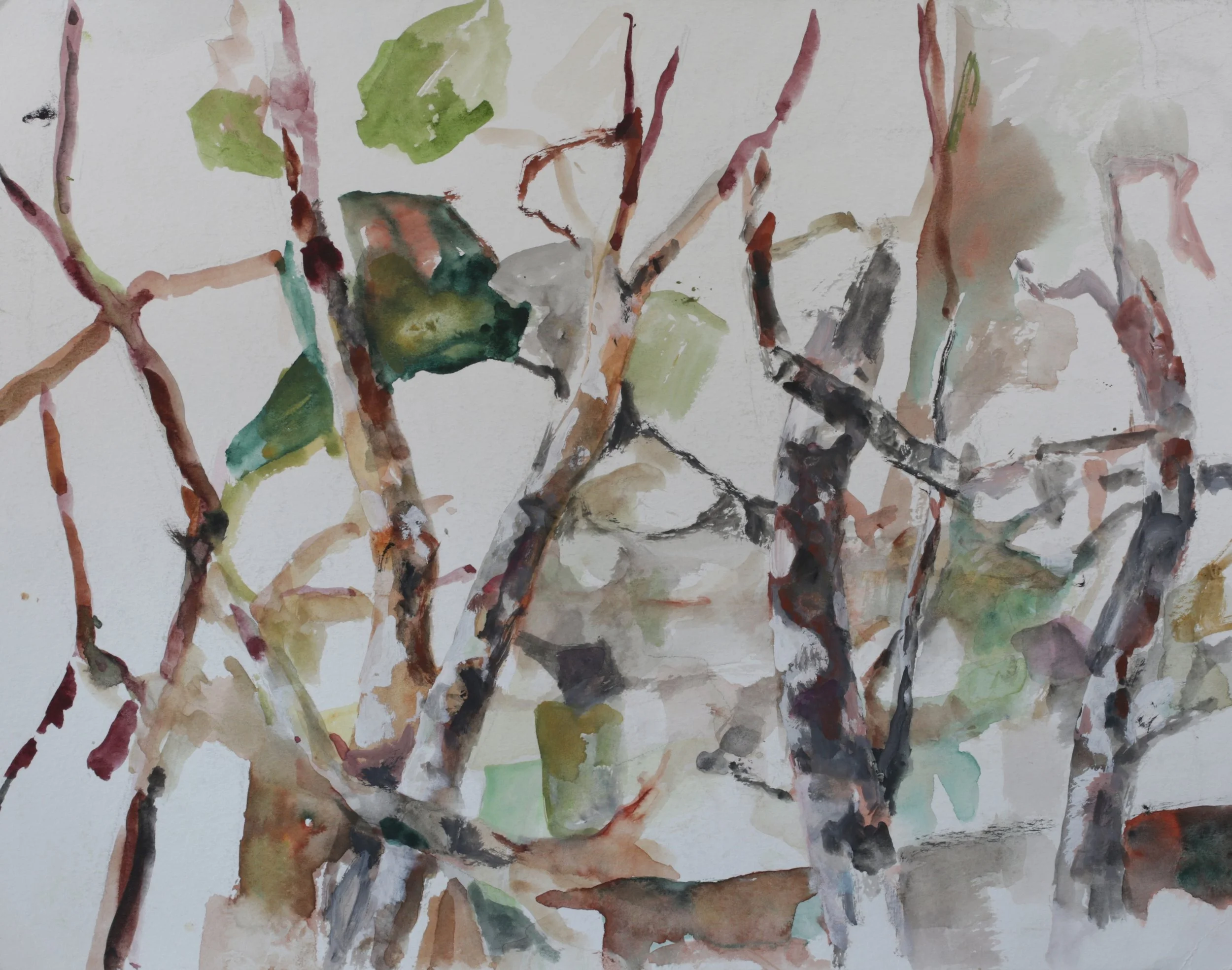 26-0339, 2024, Watercolor on paper, 12" X 15 1/2"