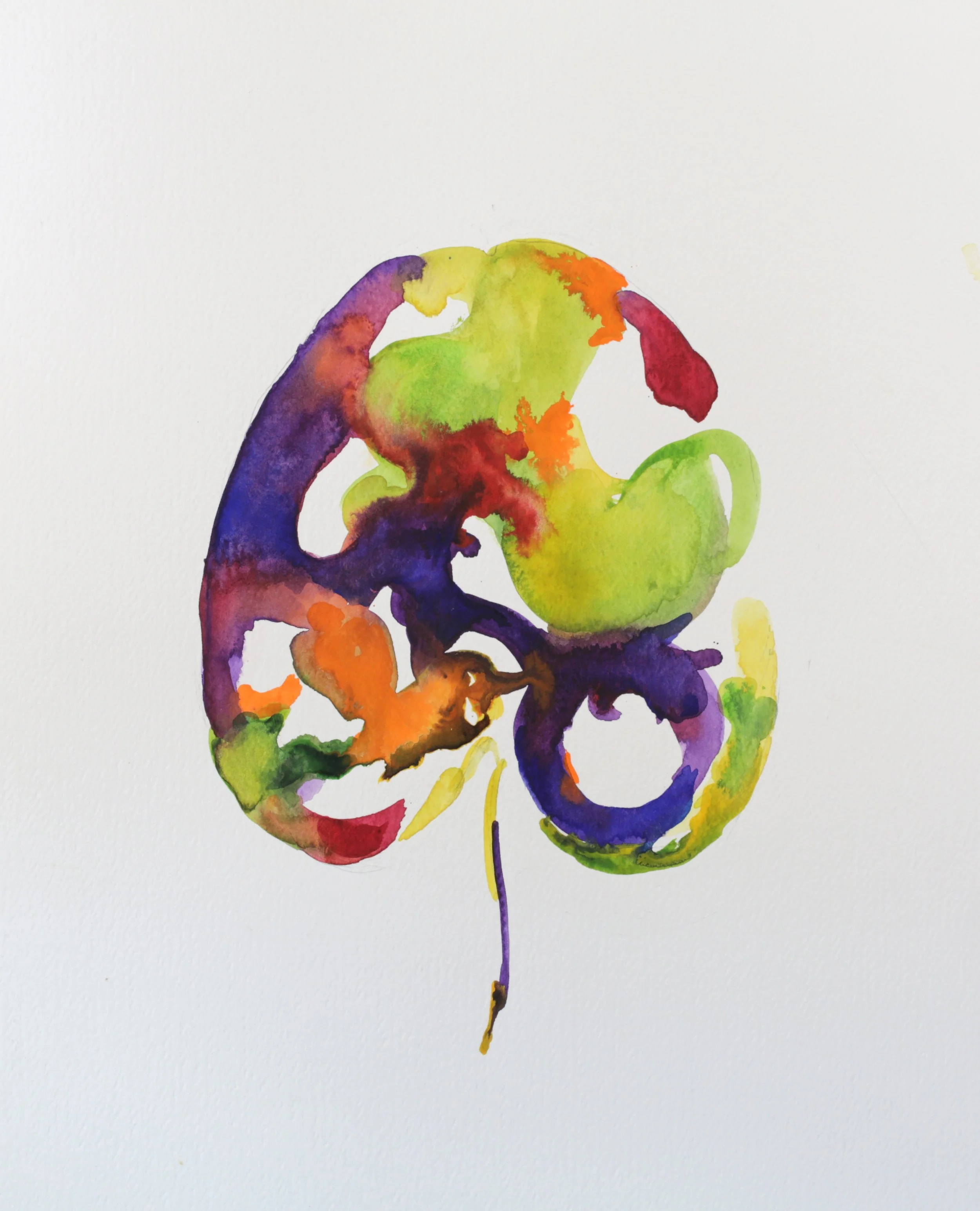 25-0314, 2017, Watercolor on paper, 15" X 11"