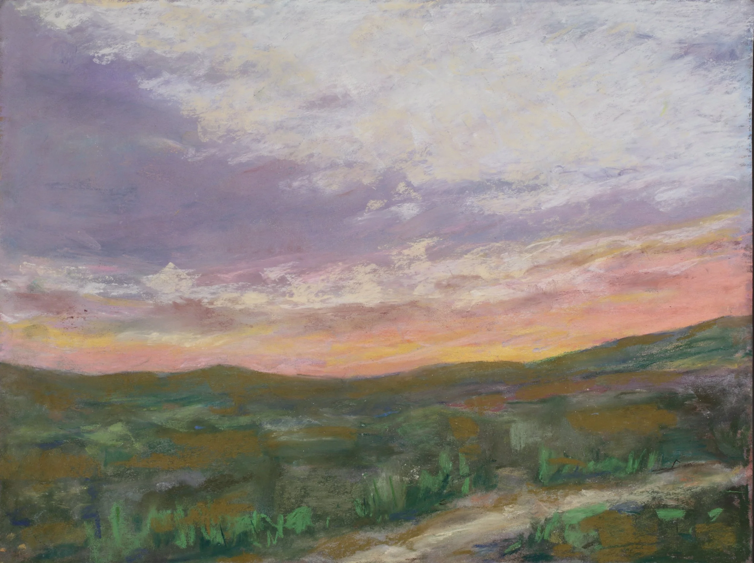 24-0263, 2025, Pastel on paper, 11 3/4" x 15 3/4"