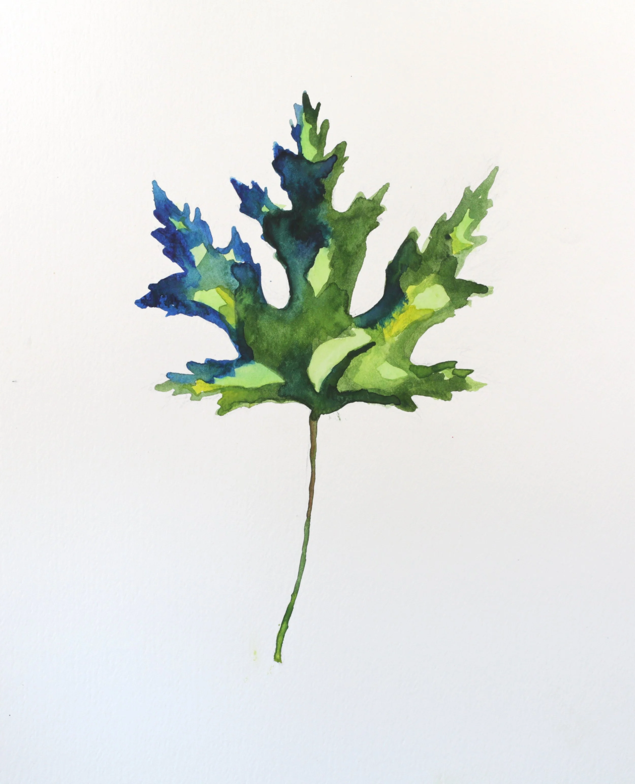 25-0337, 2017, Watercolor on paper, 15" X 11"