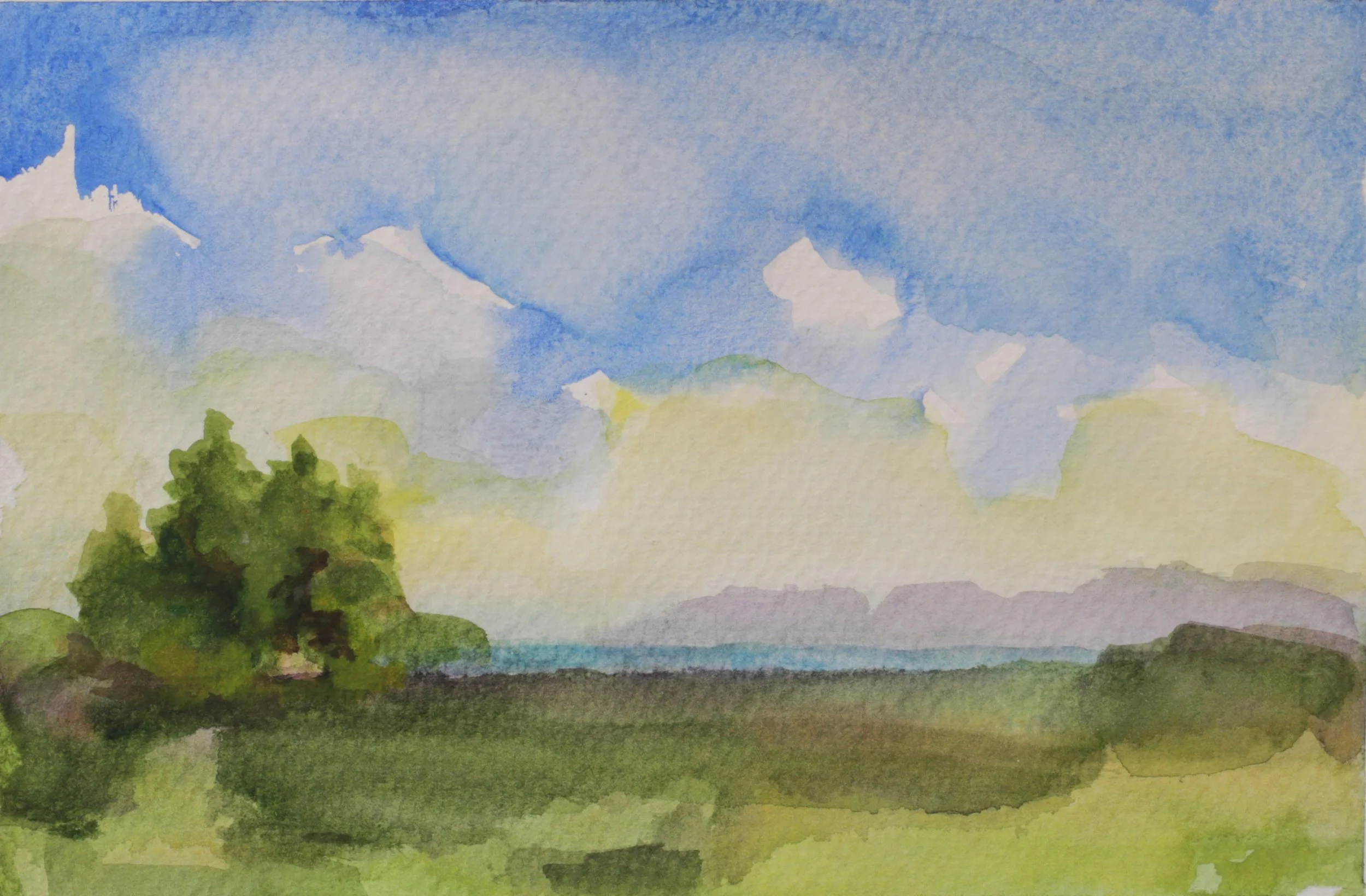 24-0342, 2022, Watercolor on paper, 5 5/8" X 8 3/4"