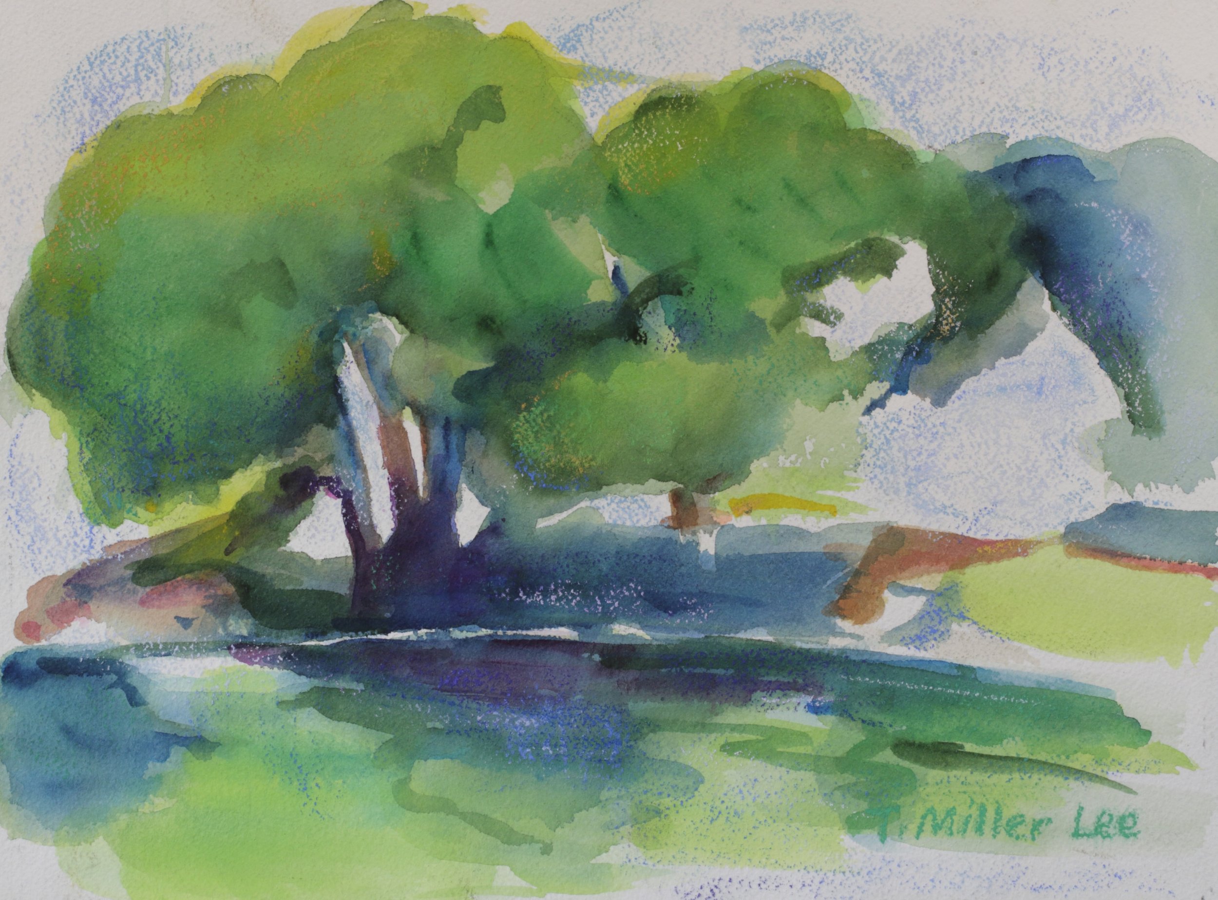 25-0300, 2018, Watercolor on paper, 9" X 12 1/4"