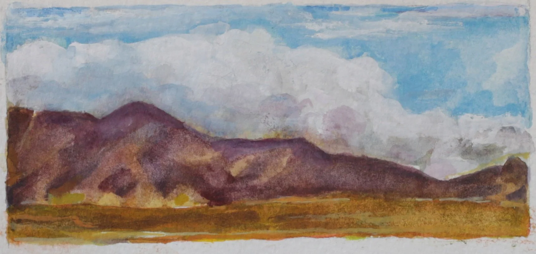 25-0343, 2025, Watercolor on paper, 3 1/2" X 7"