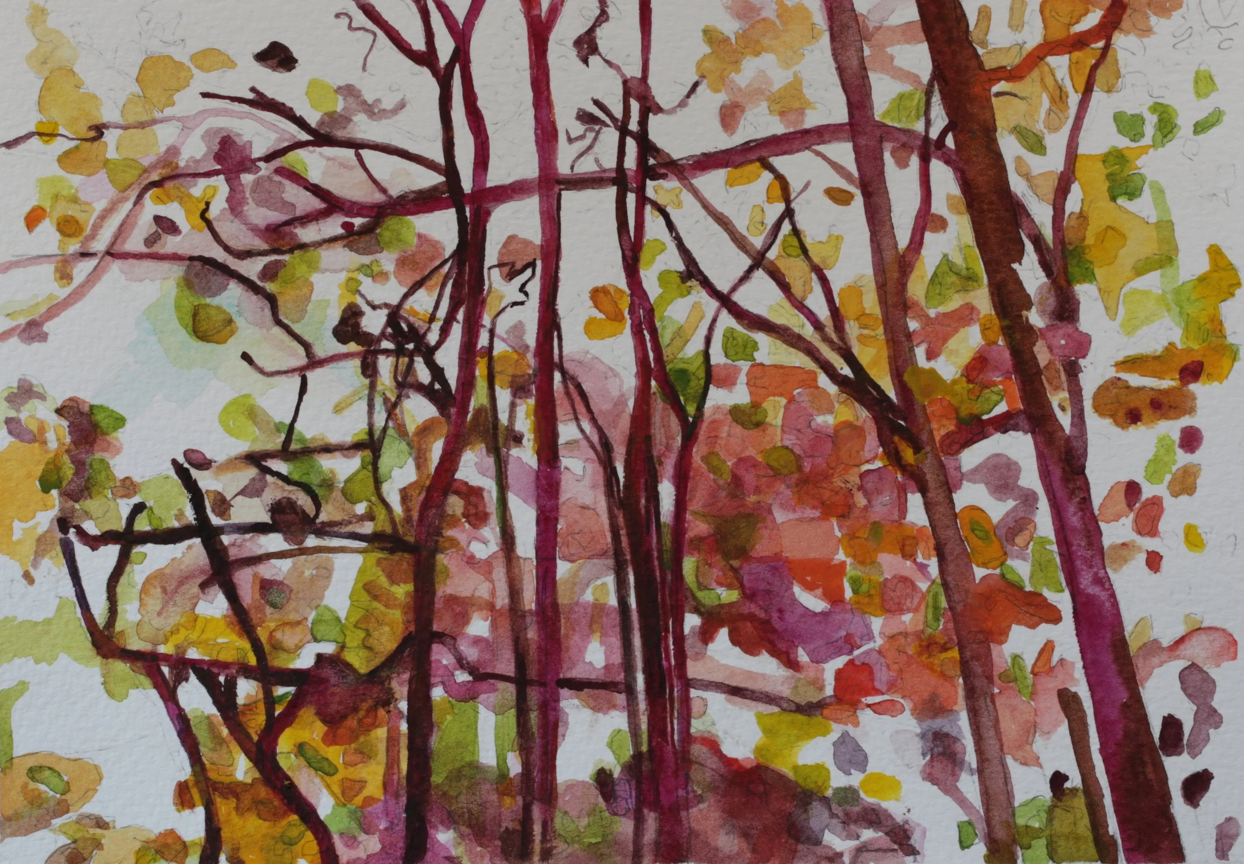26-0338, 2025, Watercolor on paper, 7" X 10"