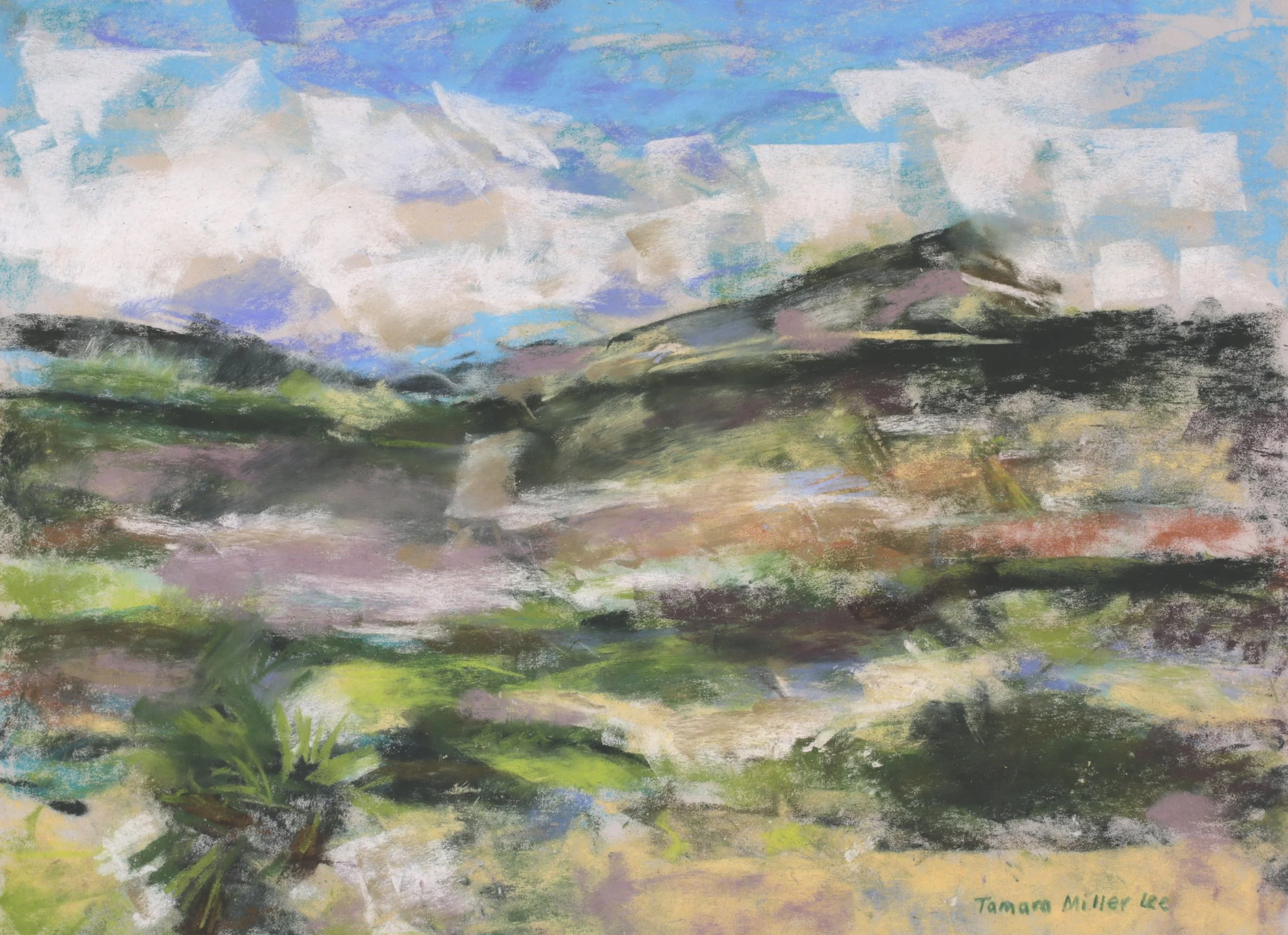 24-0210, 2024, Pastel on paper, 11 3/4" x 15 3/4"