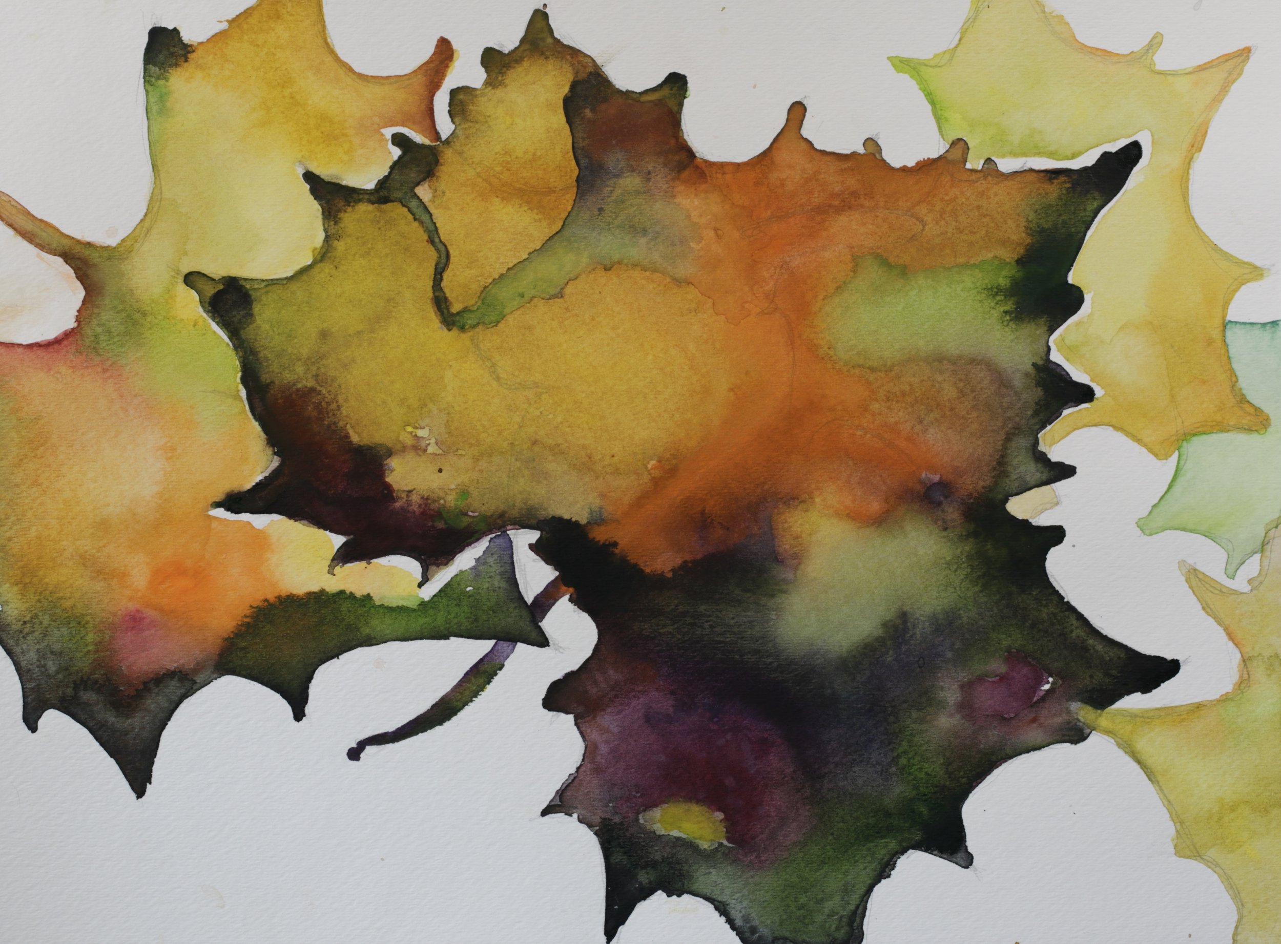 25-0307, 2017, Watercolor on paper, 15" X 11"