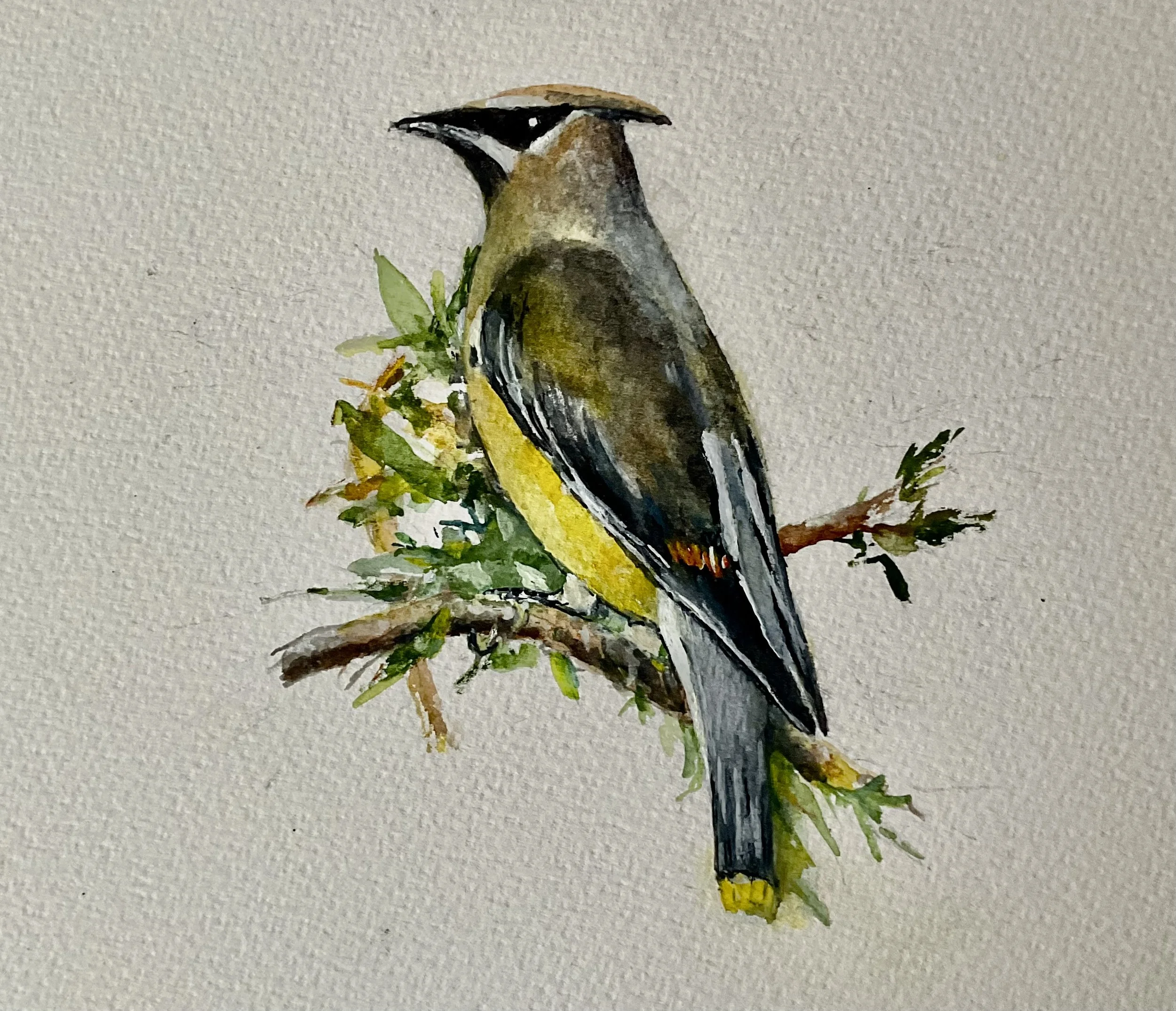 24-0311, 2025, Watercolor on paper, 7 3/4" X 10 1/8" Sold