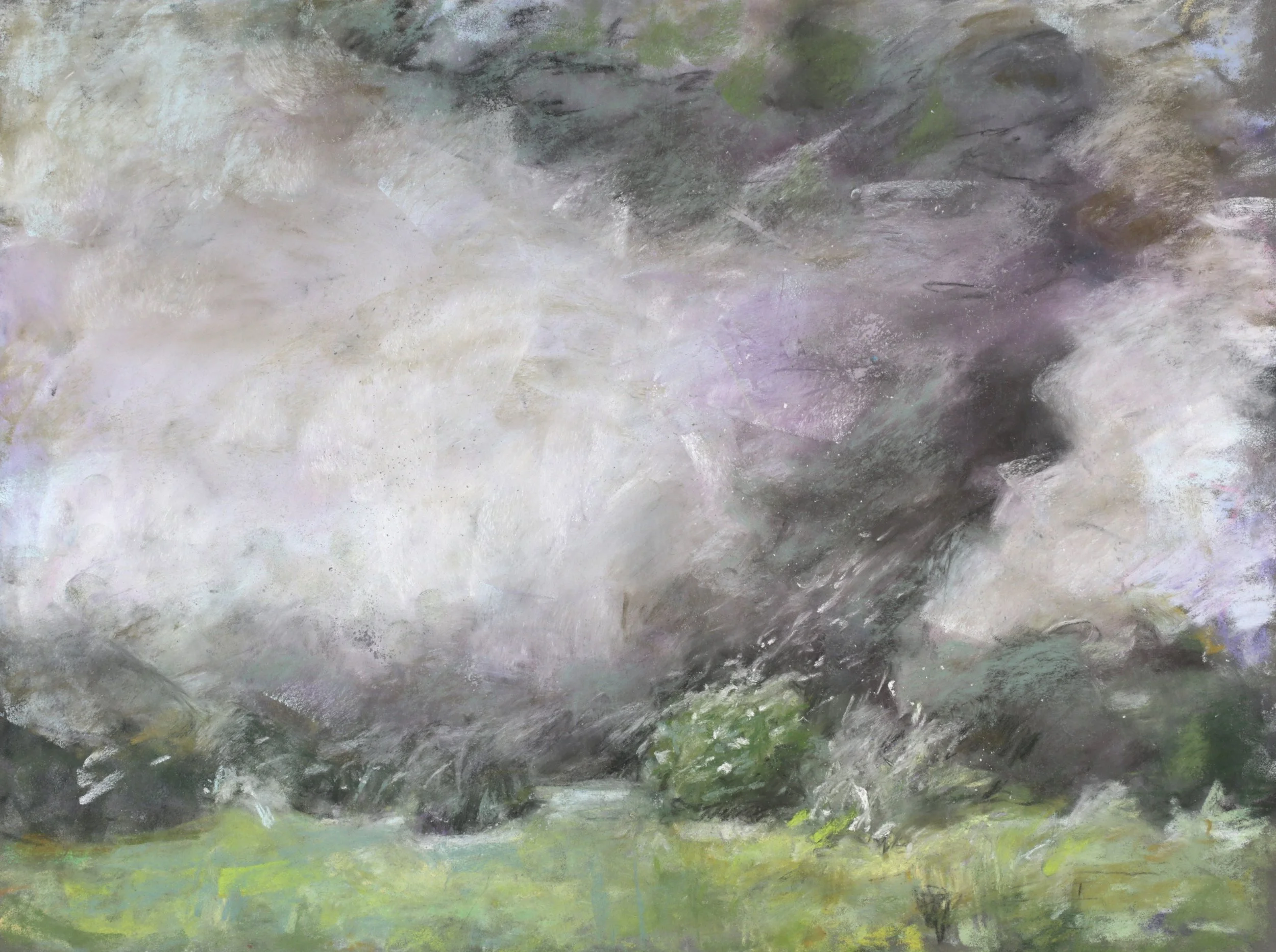 24-0231, 2024, Pastel on paper, 12" x 16"