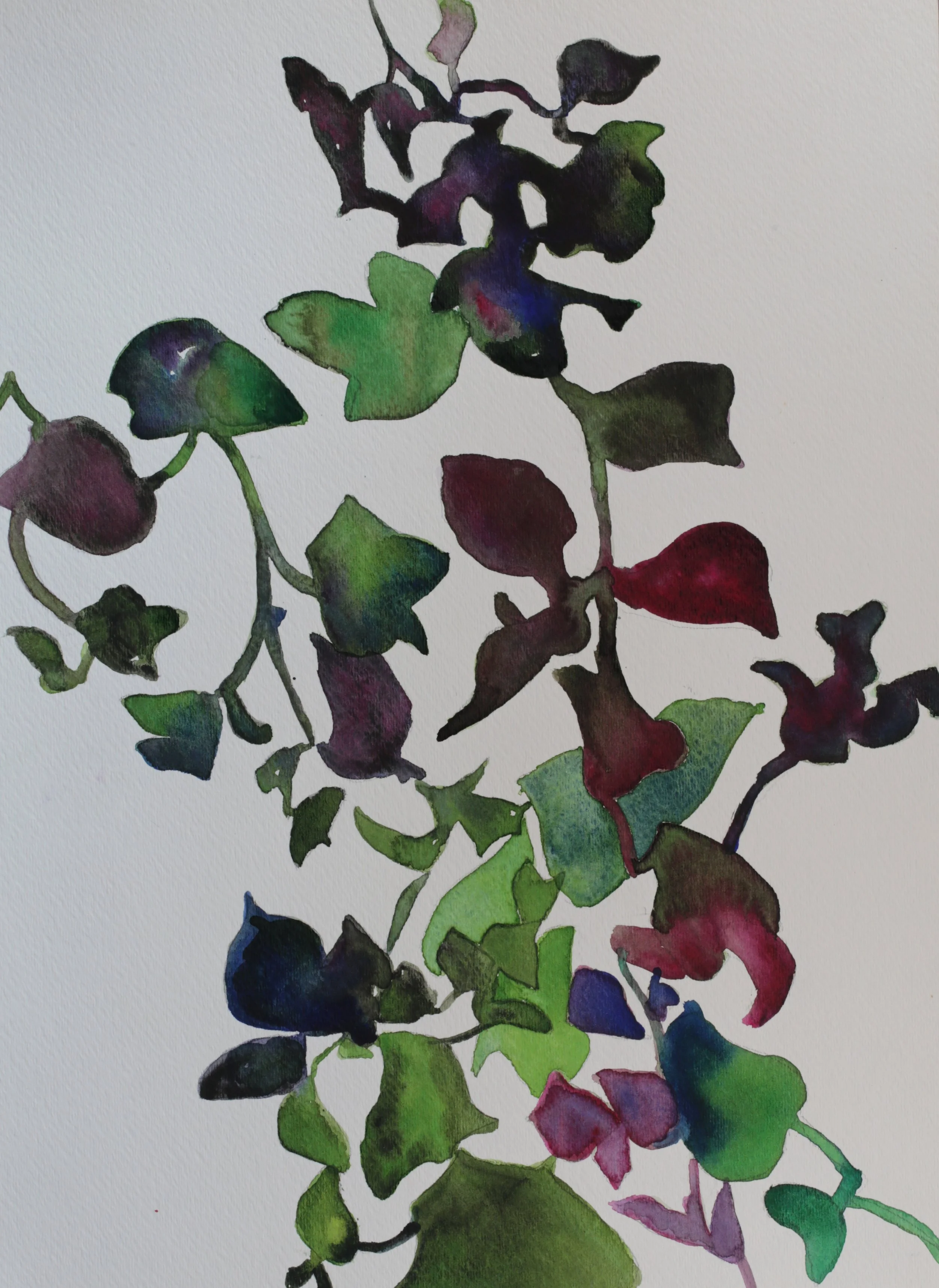 25-0301, 2018, Watercolor on paper, 11" X 15"