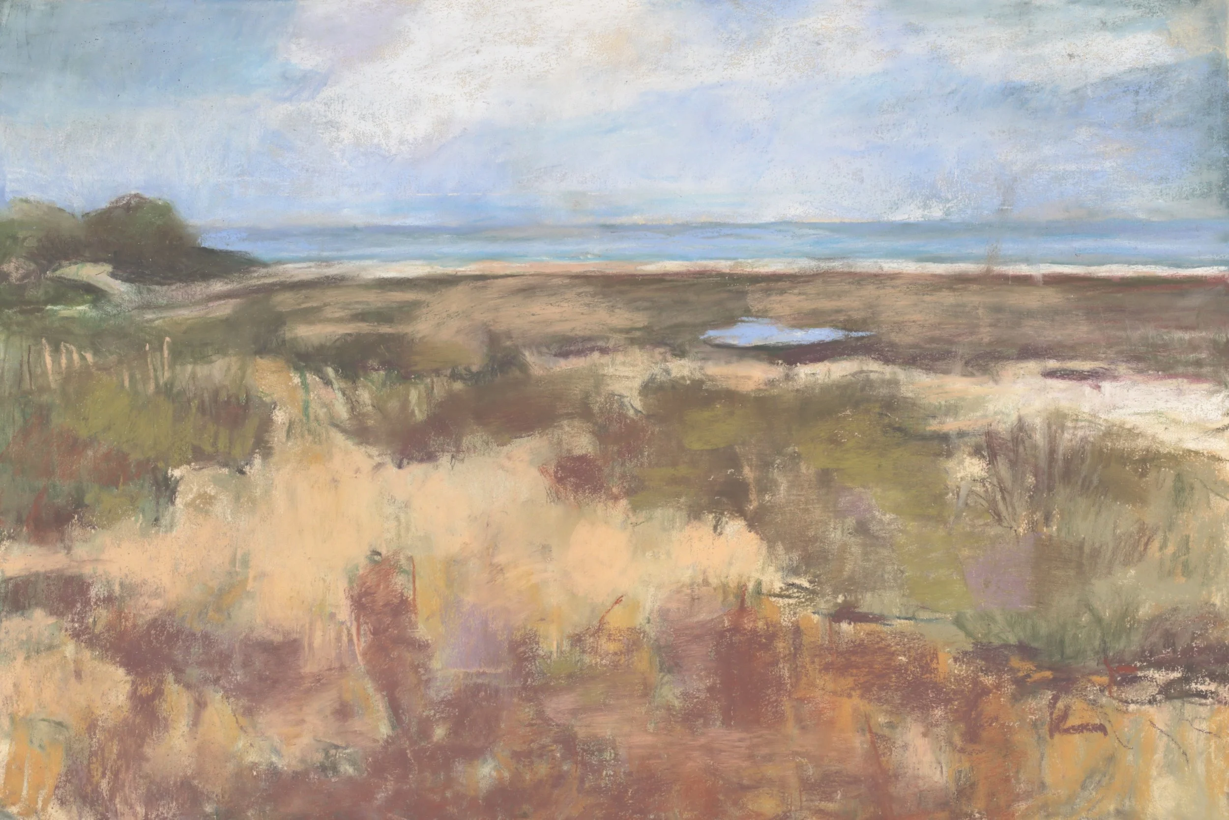 24-0256, 2025, Pastel on paper, 12" x 18"